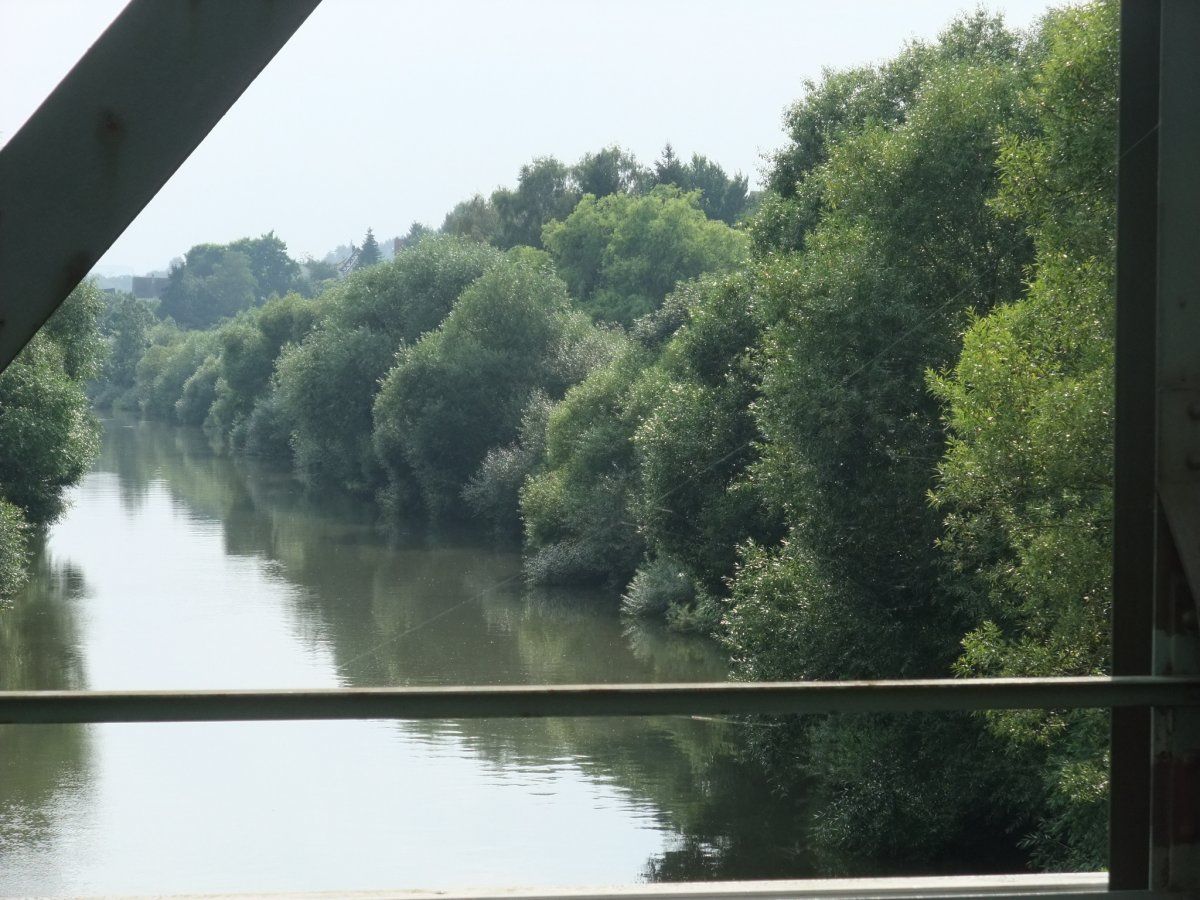 DSCF3454.JPG