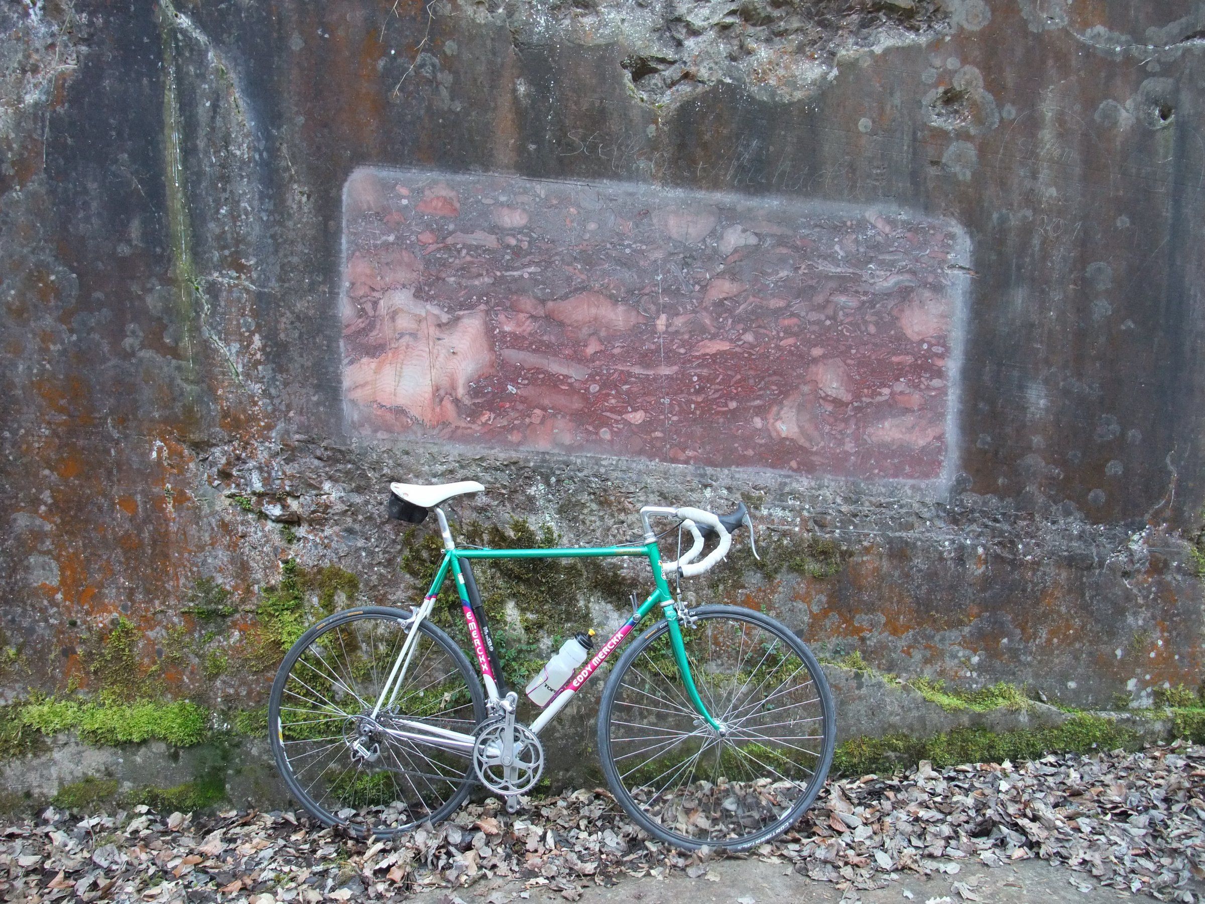 DSCF3488.JPG
