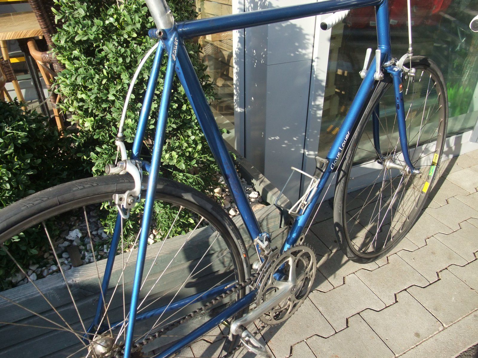DSCF3517.JPG