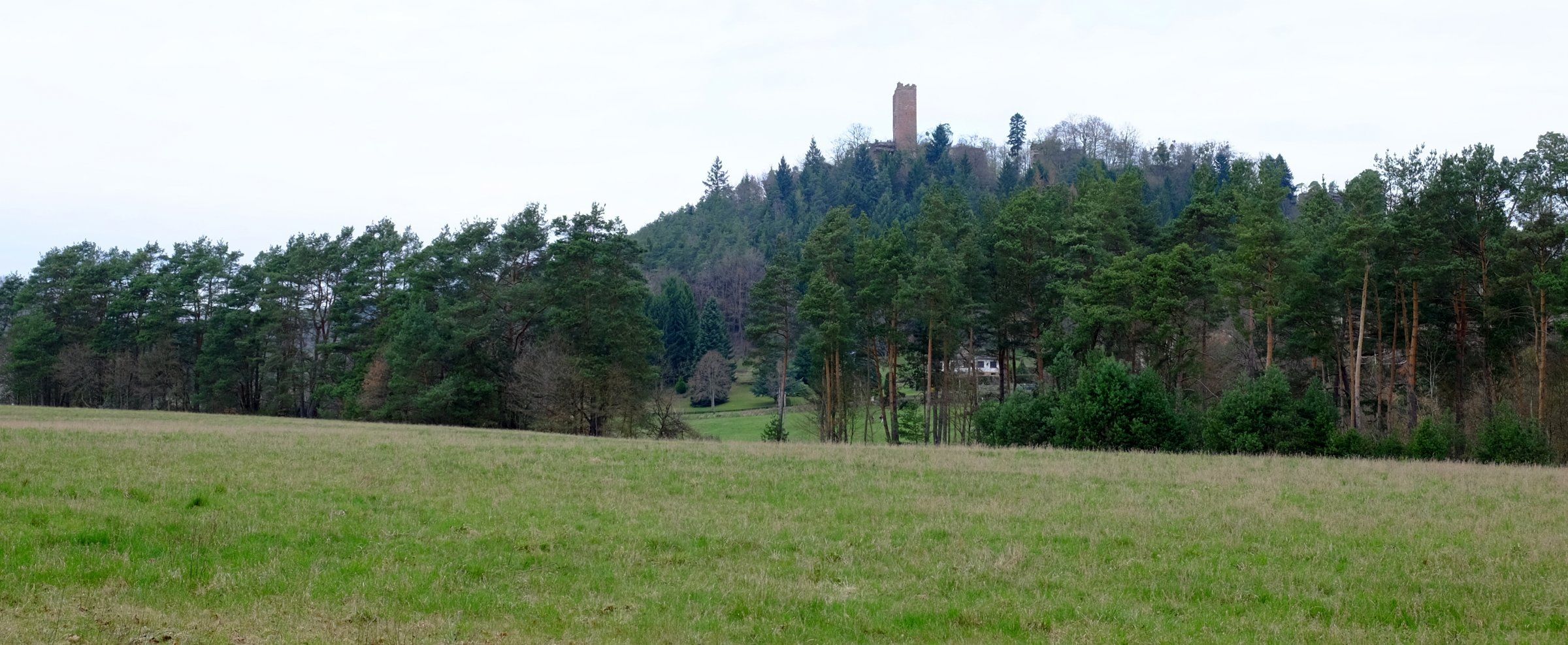 DSCF3539.JPG