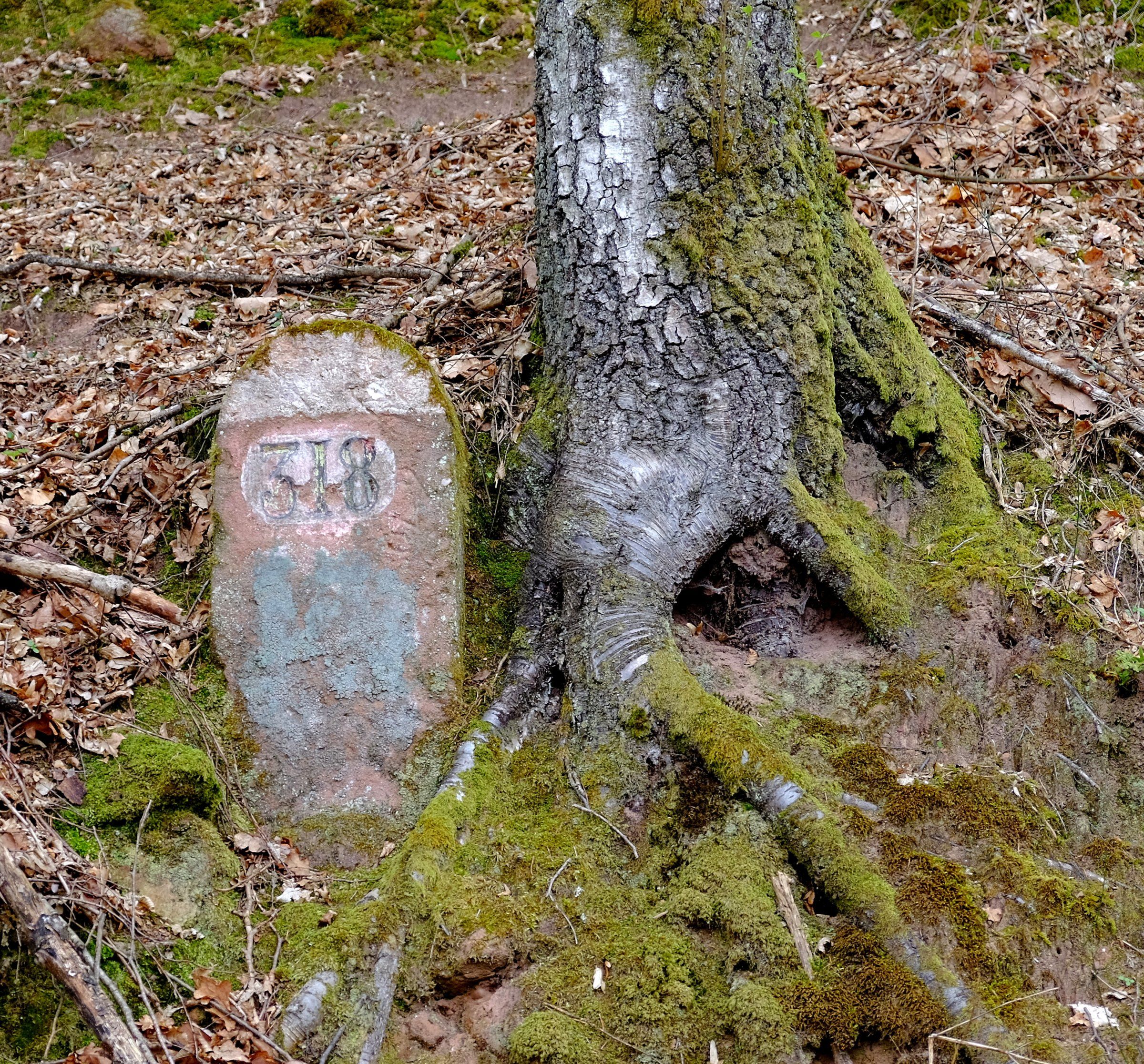 DSCF3551.JPG