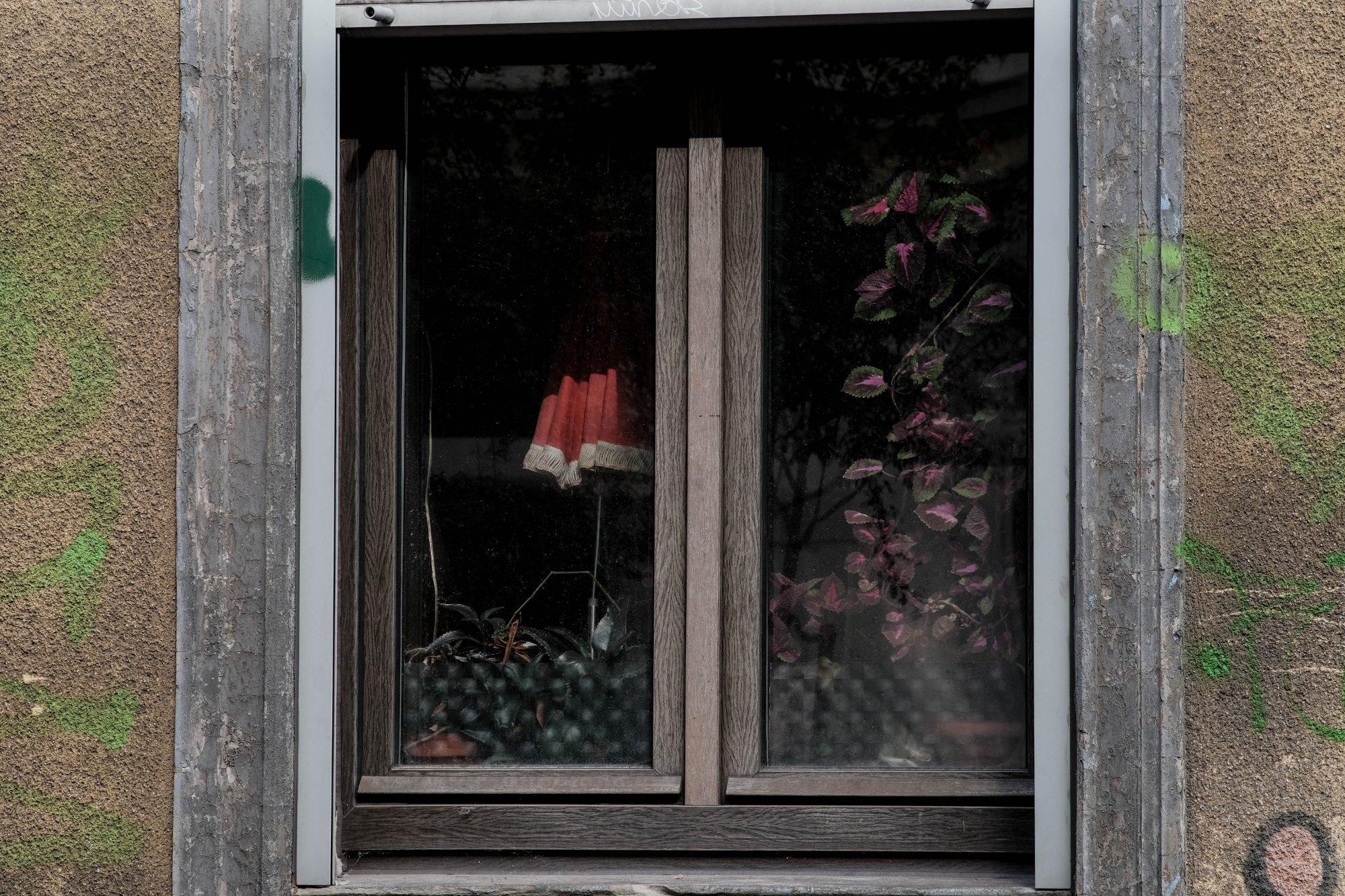 DSCF3569.jpg