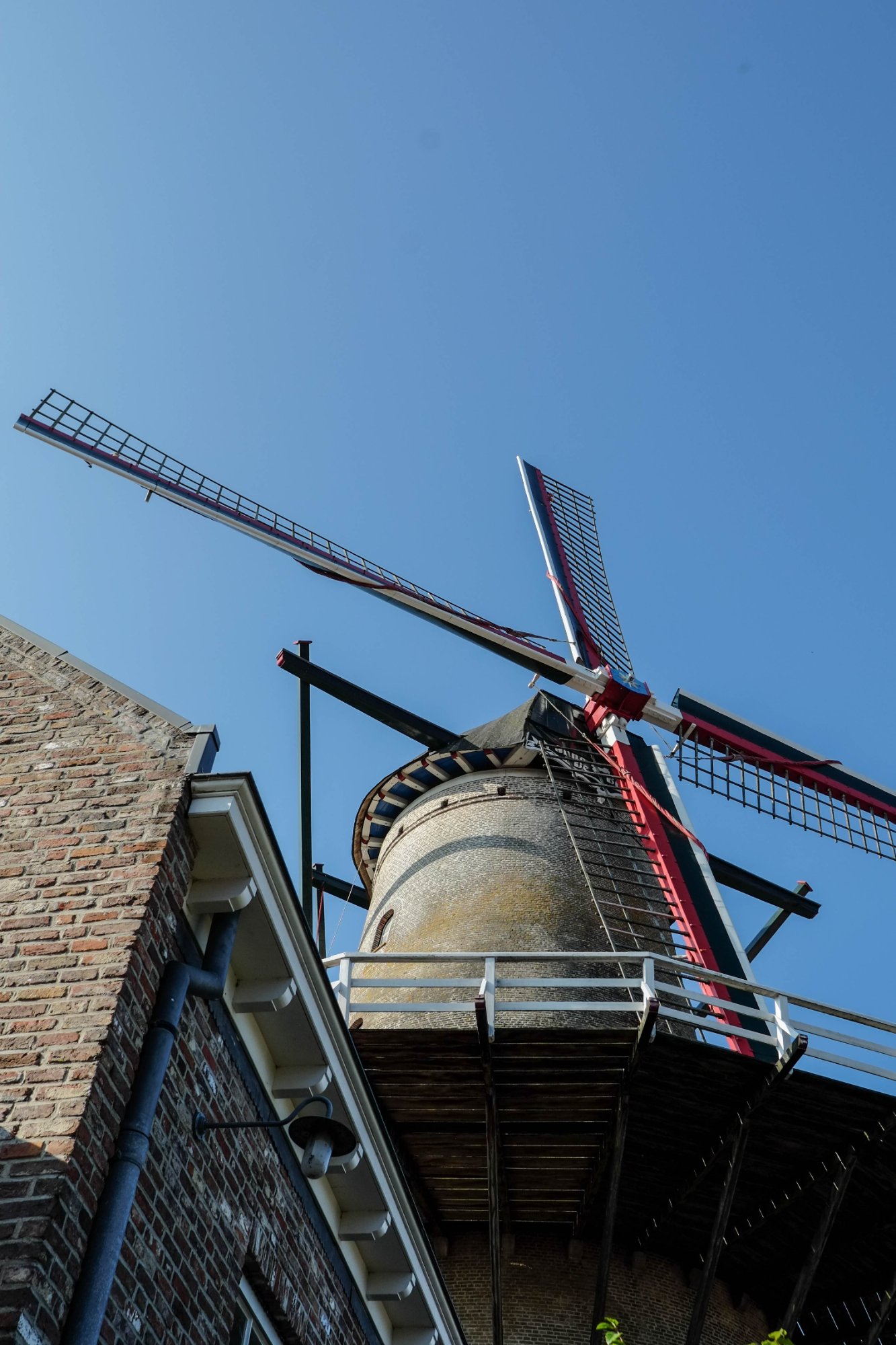 DSCF3632-2.jpg