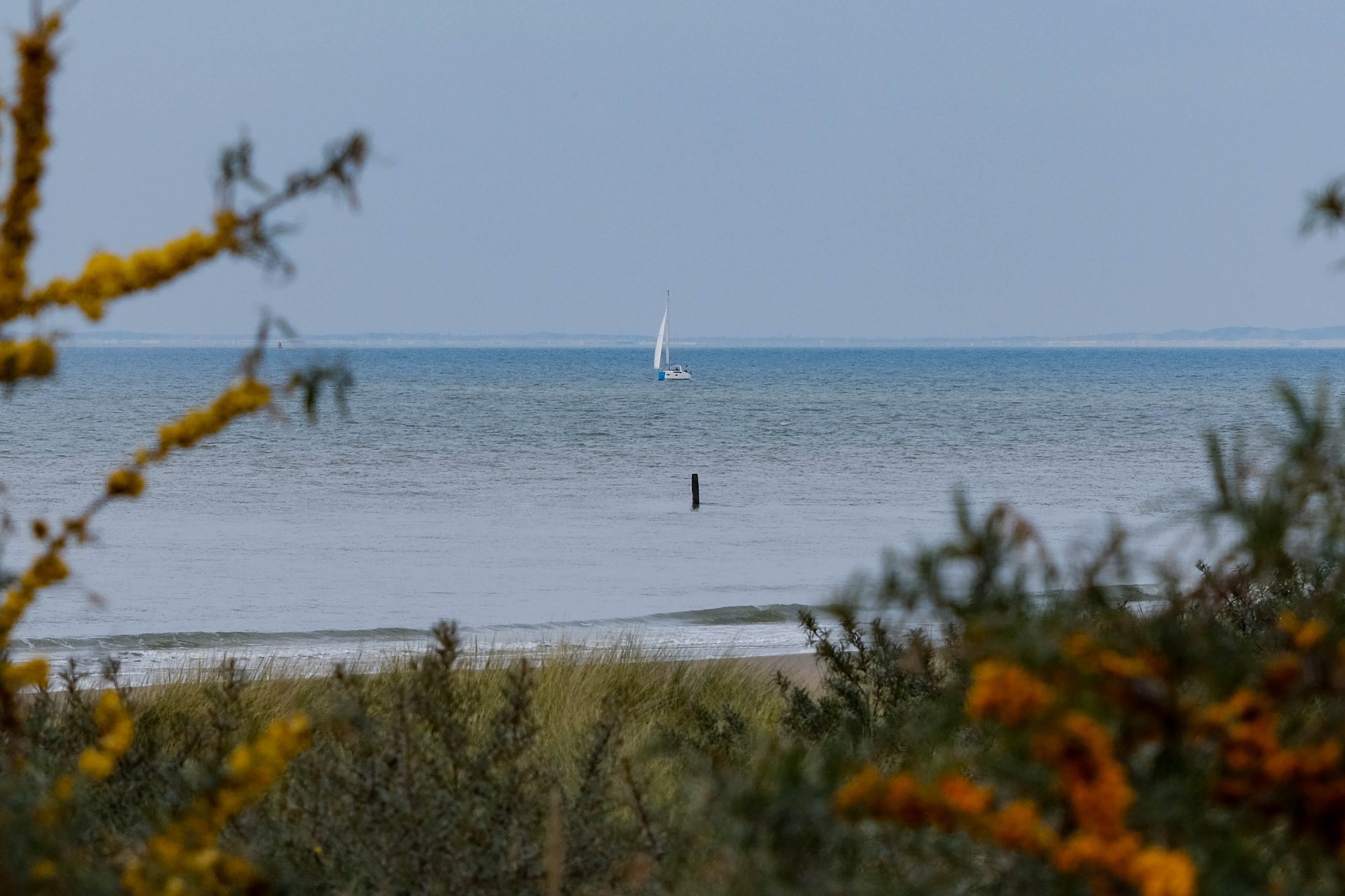 DSCF3635.jpg