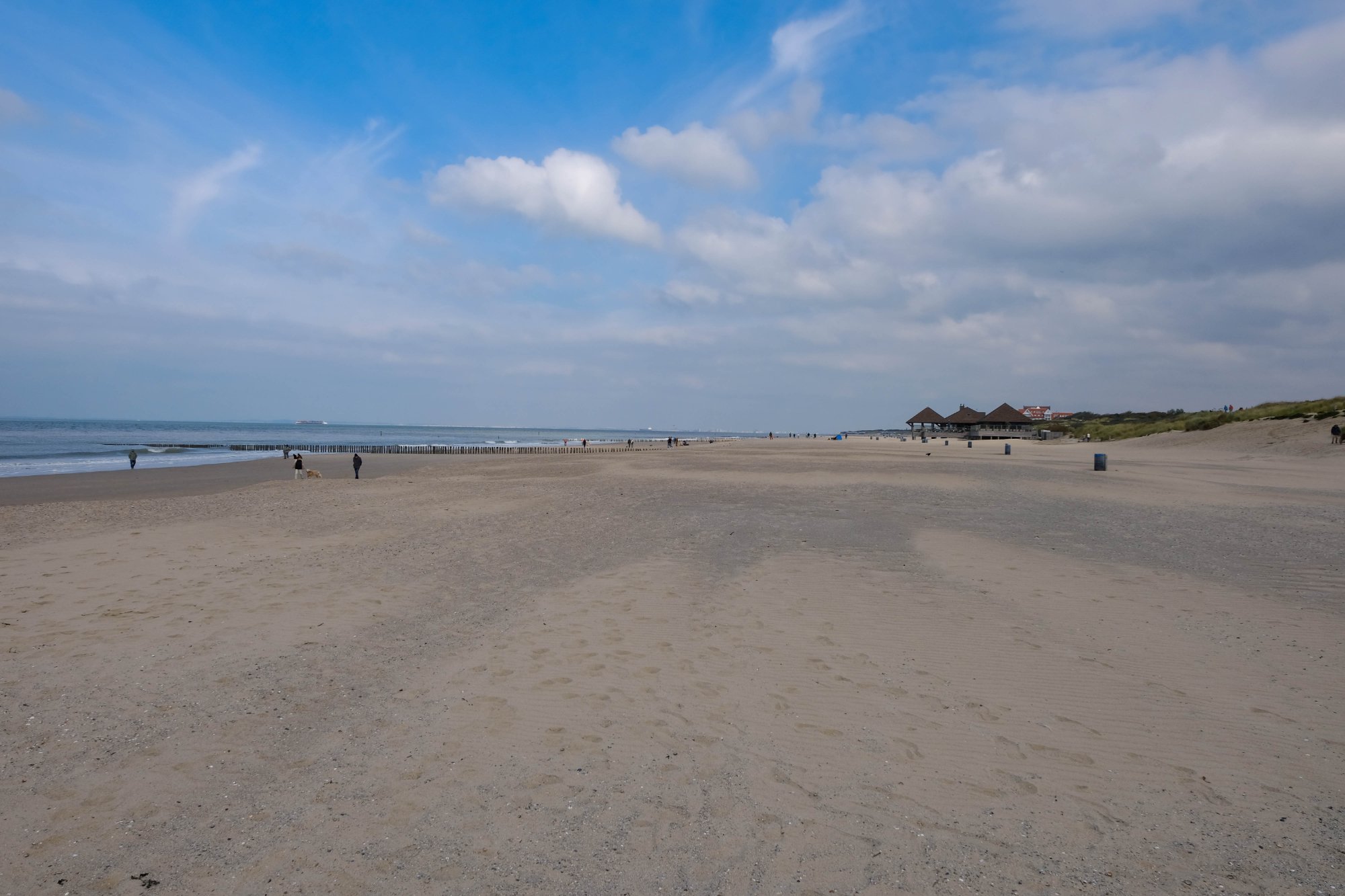 DSCF3637.jpg