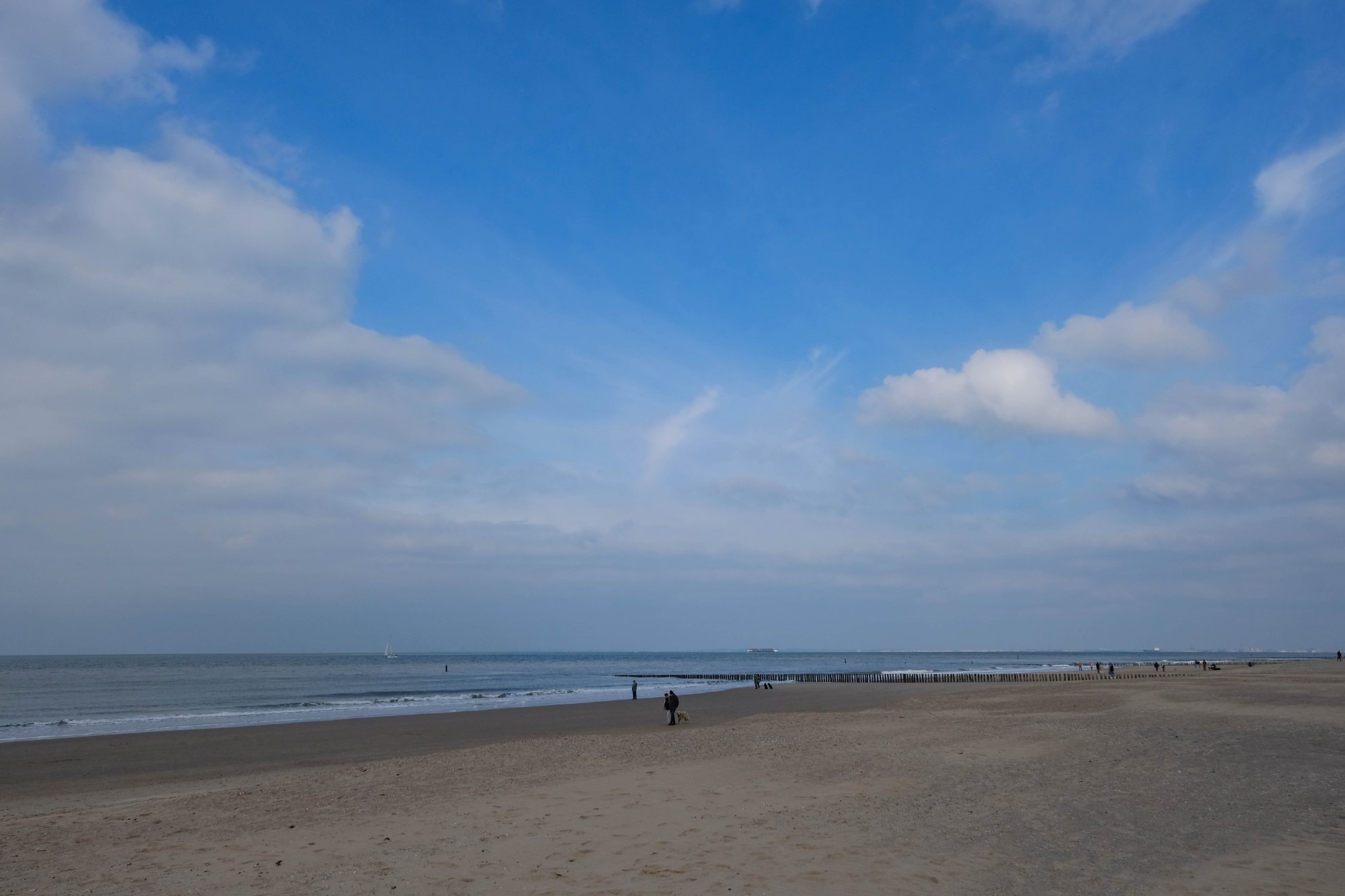 DSCF3638.jpg