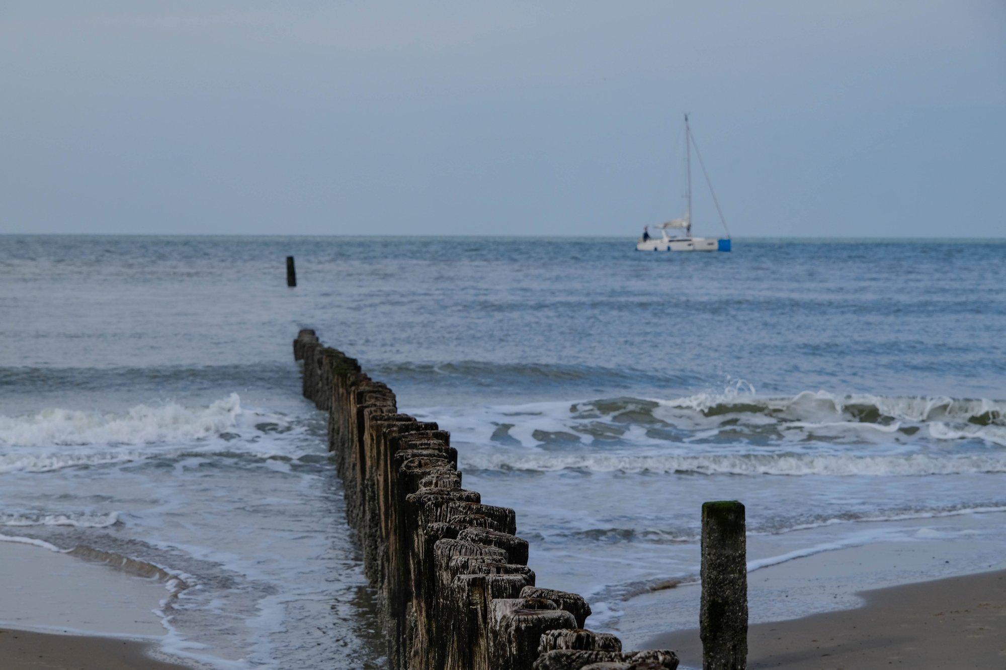 DSCF3646.jpg