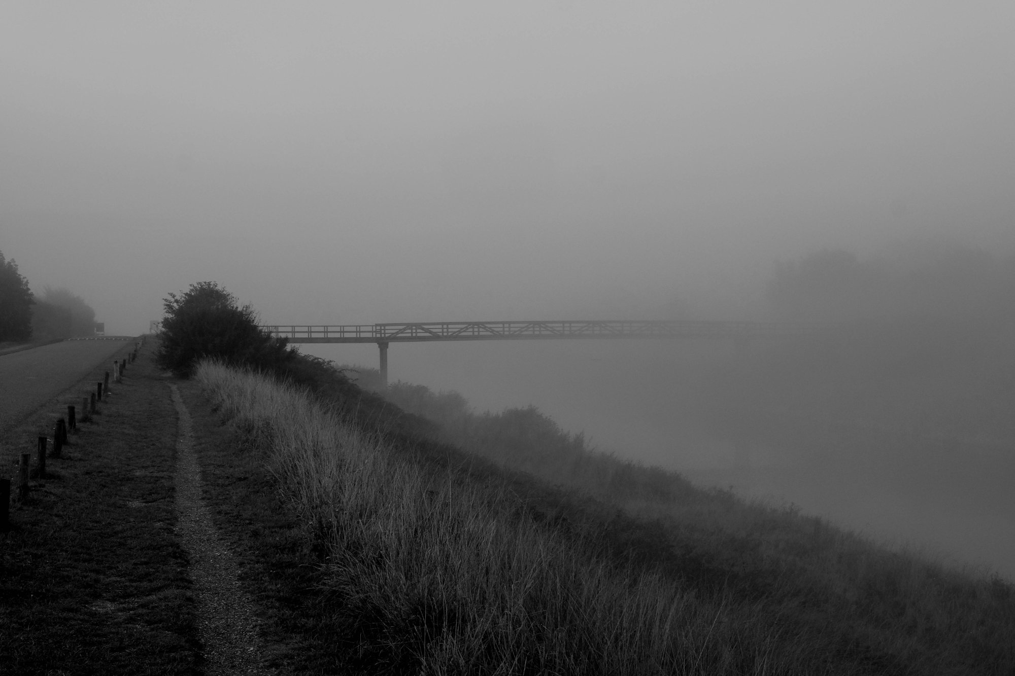 DSCF3656-2.jpg