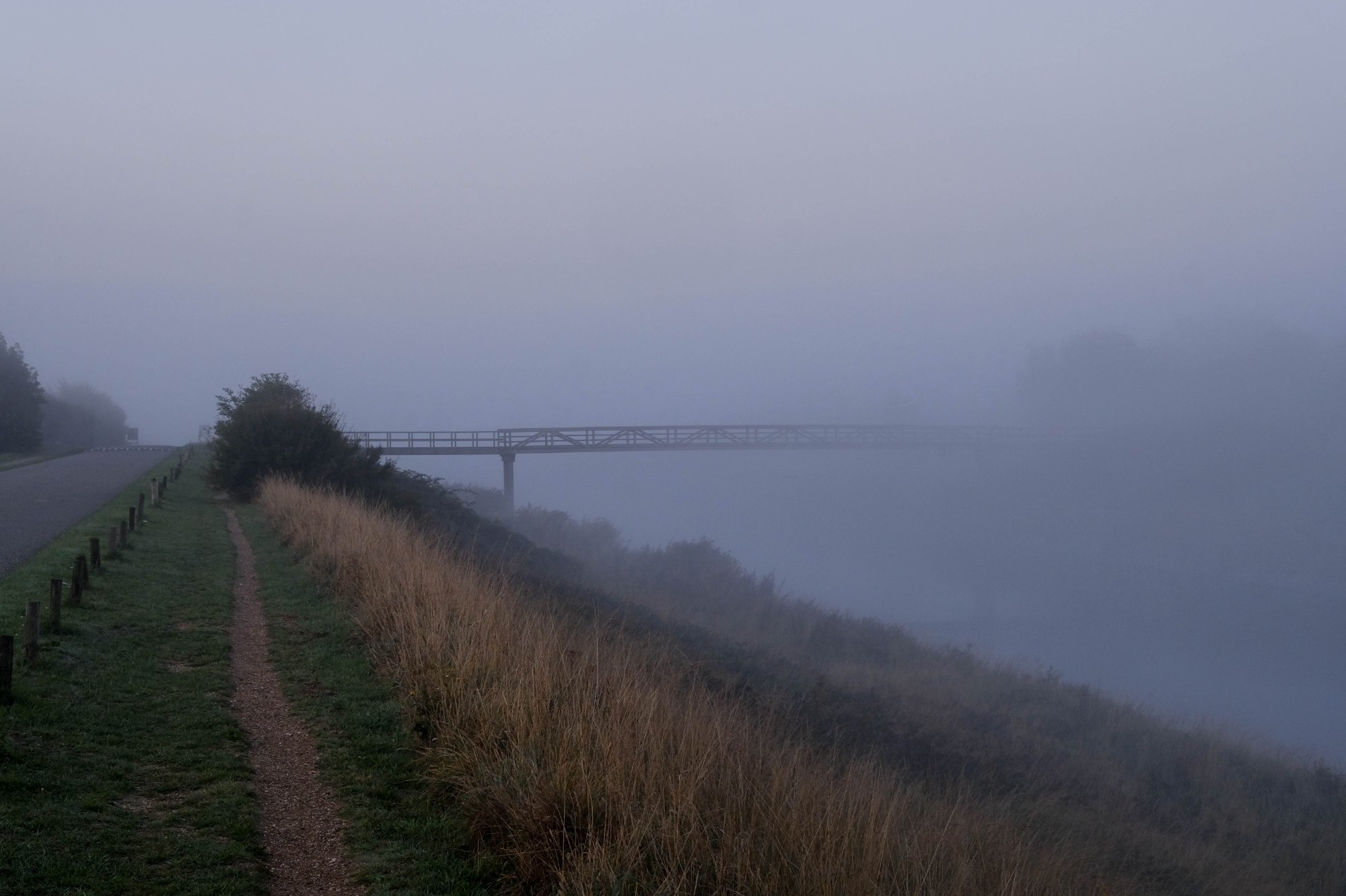 DSCF3656.jpg