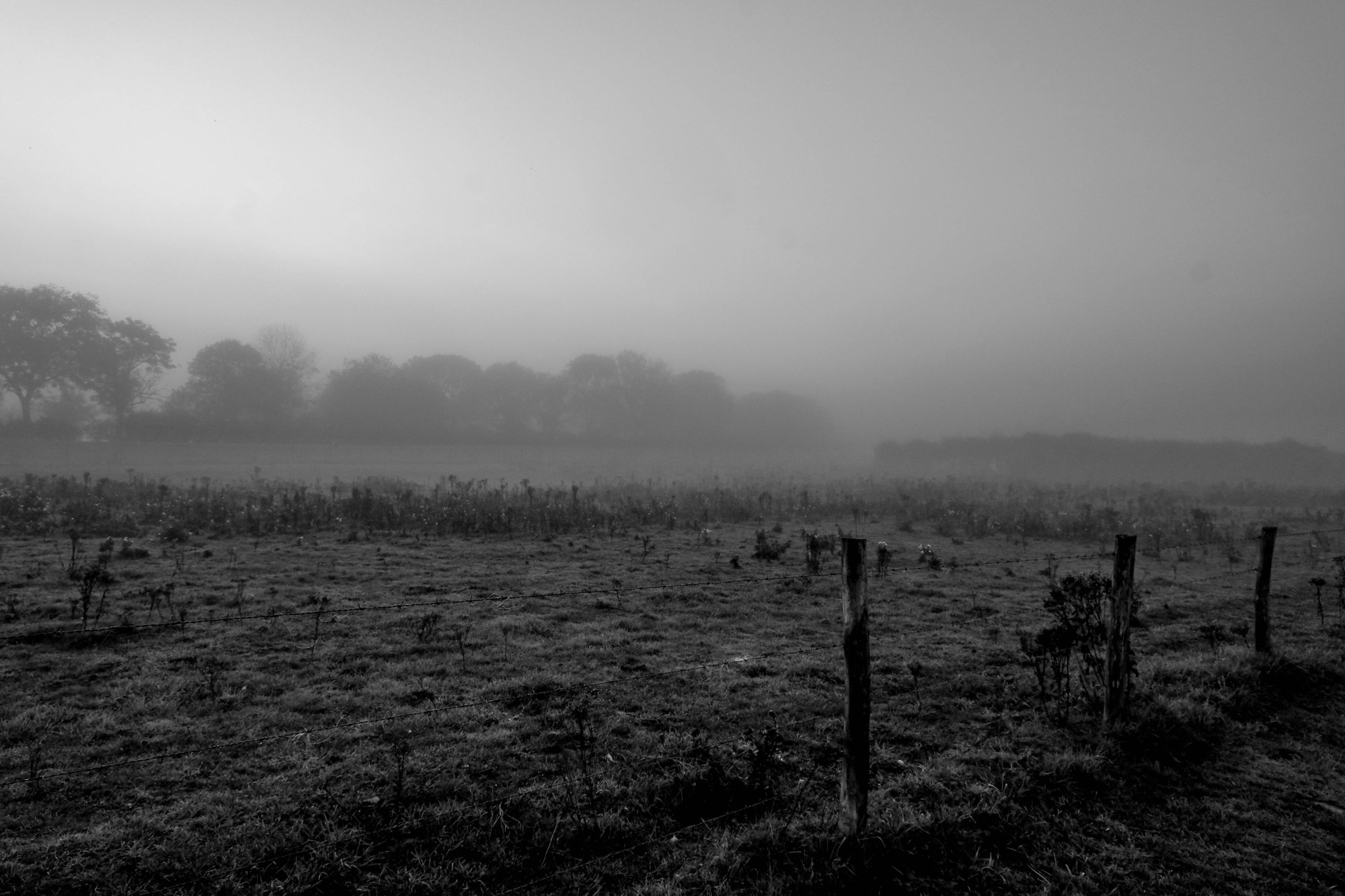 DSCF3657-2.jpg