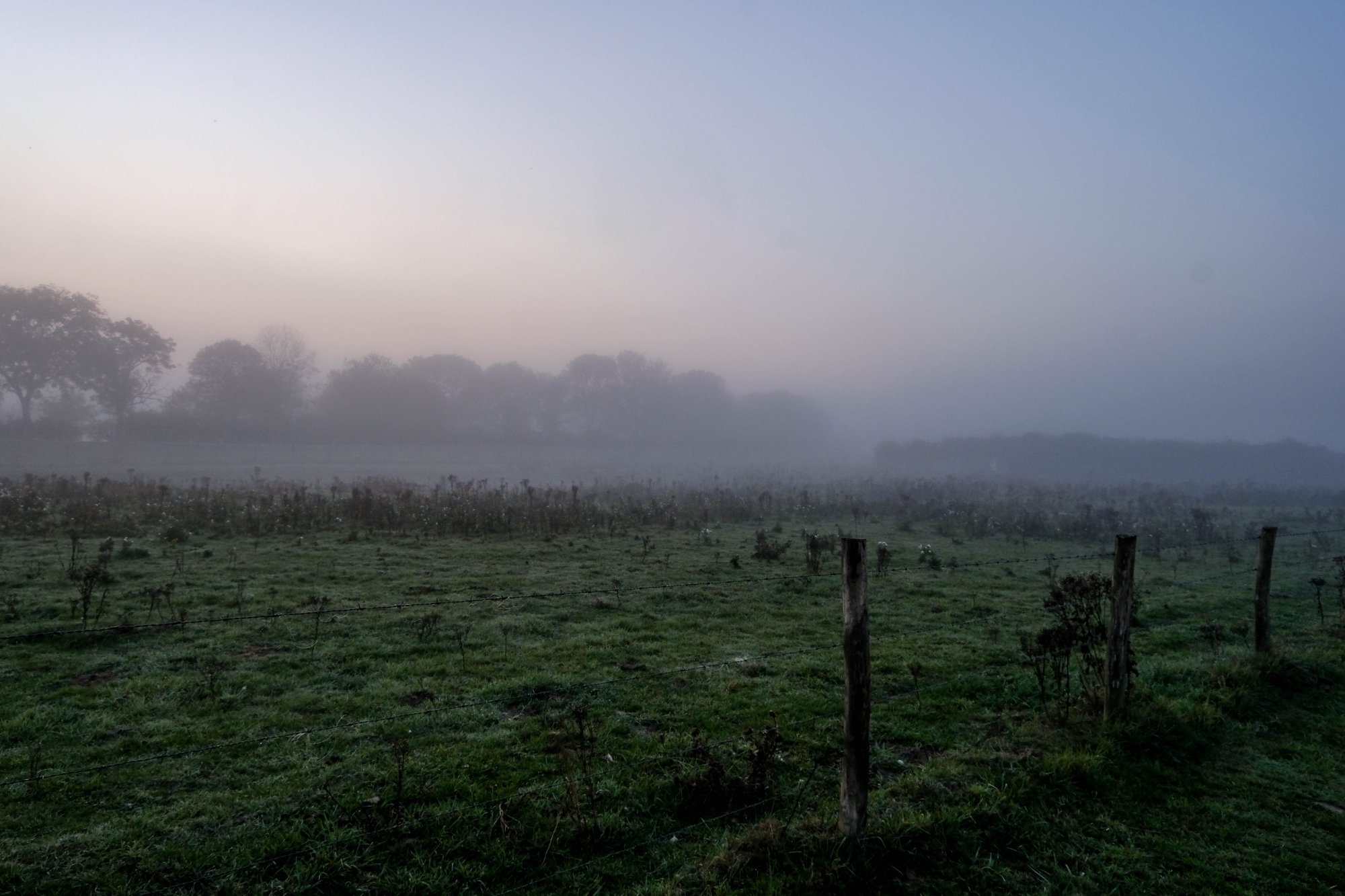 DSCF3657.jpg