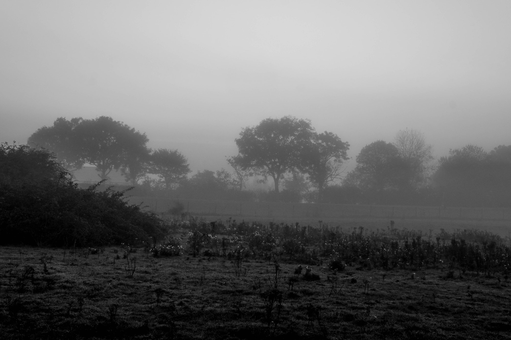 DSCF3659-2.jpg
