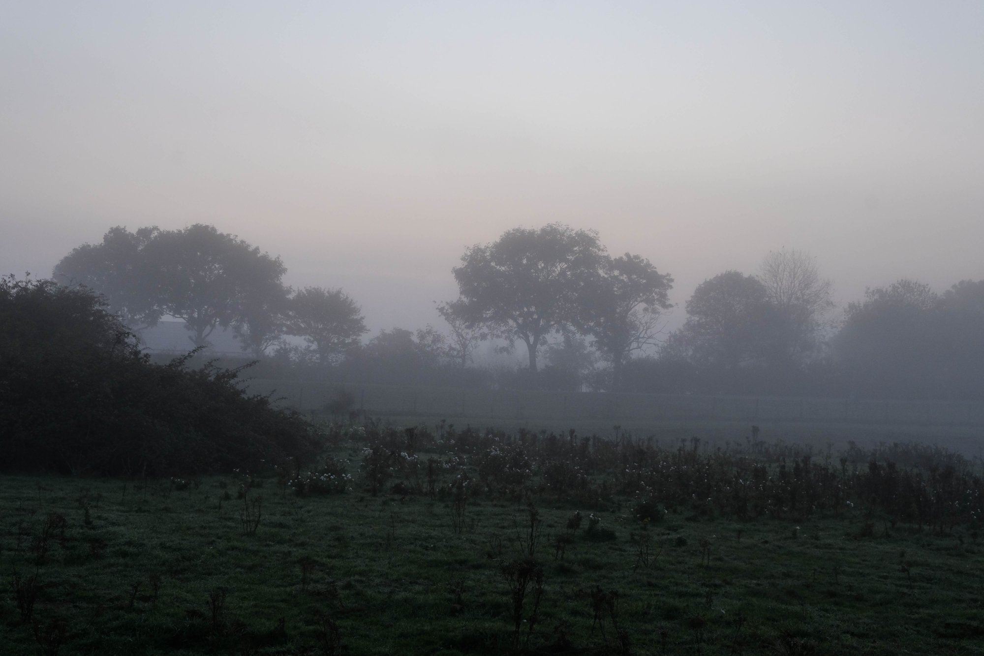 DSCF3659.jpg