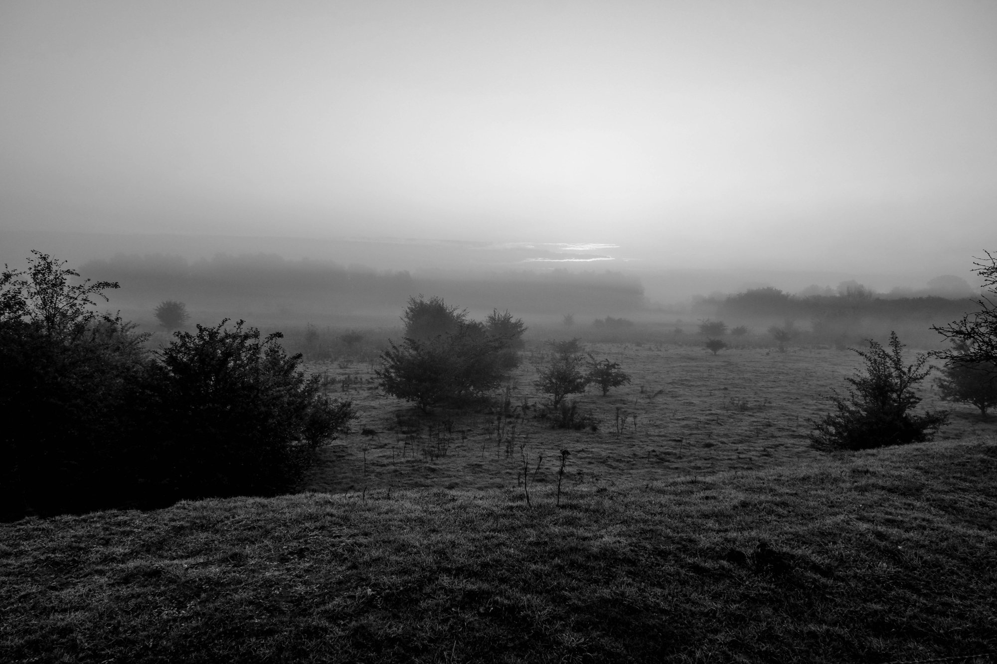 DSCF3661-2.jpg