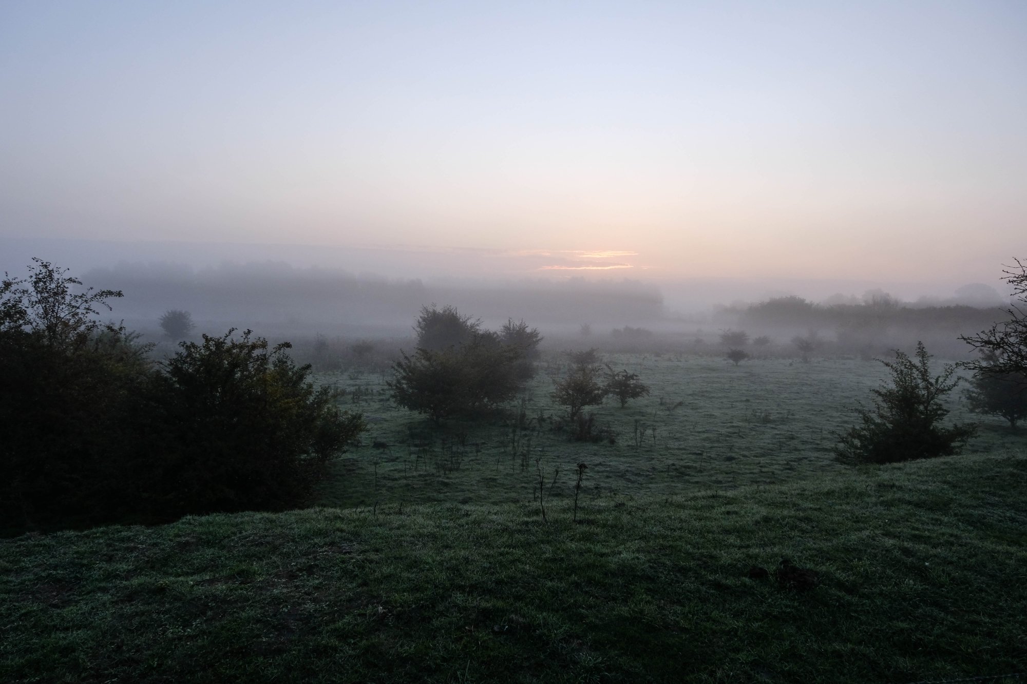DSCF3661.jpg