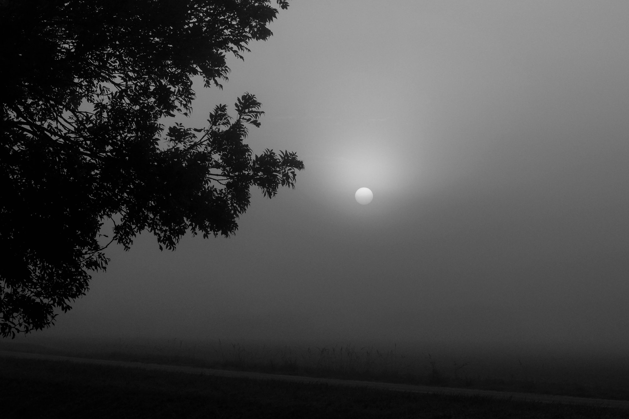 DSCF3672-2.jpg
