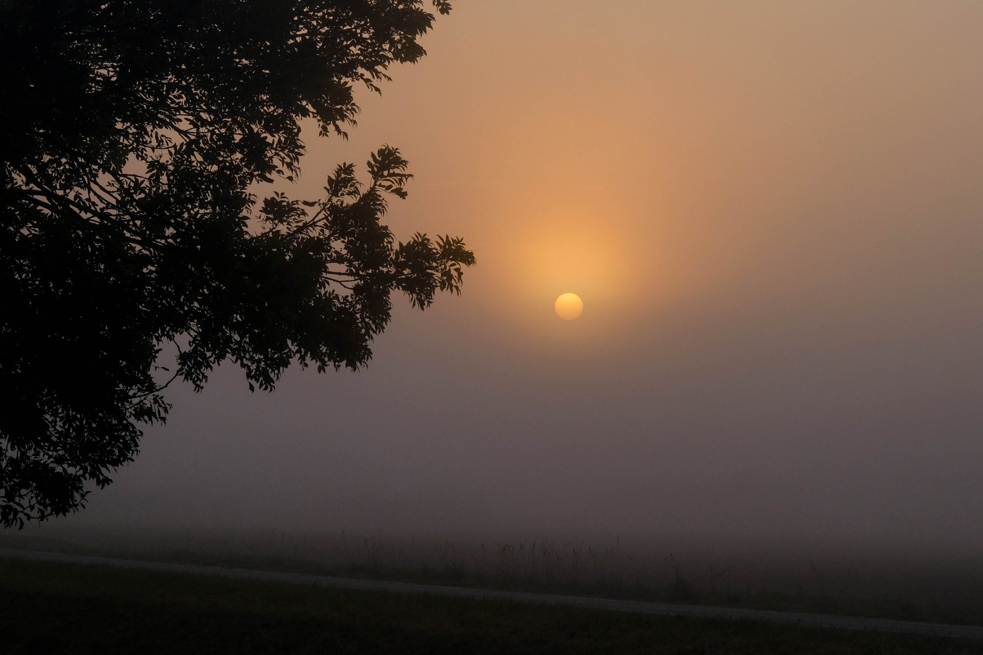 DSCF3672.jpg