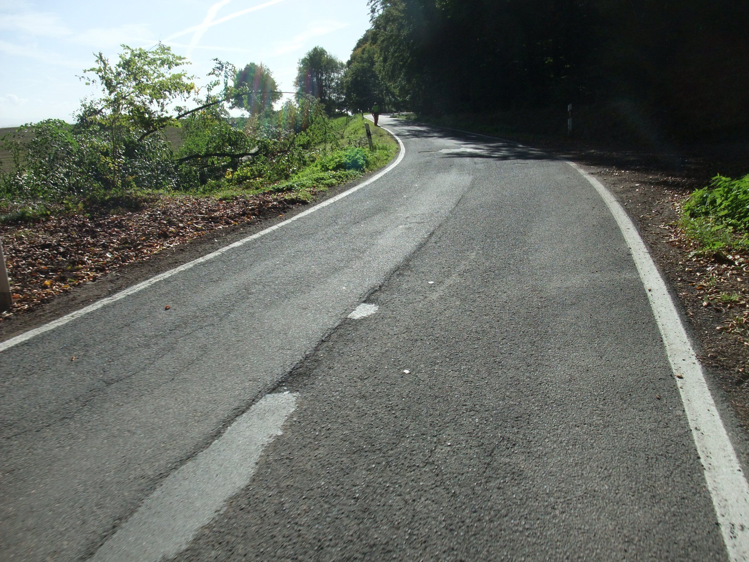 DSCF3687.JPG