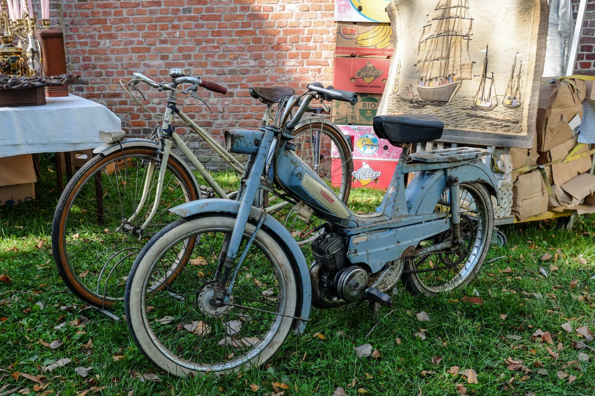 DSCF3711.jpg