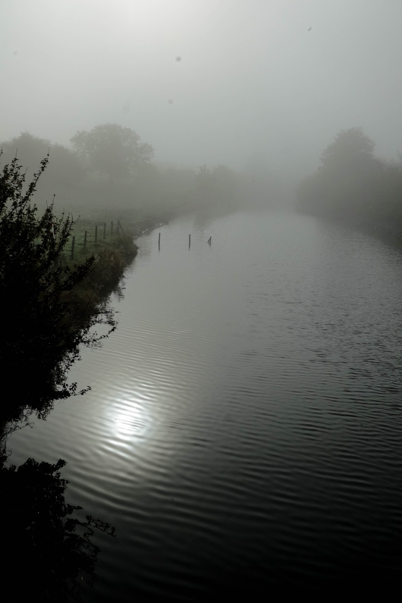 DSCF3771.jpg