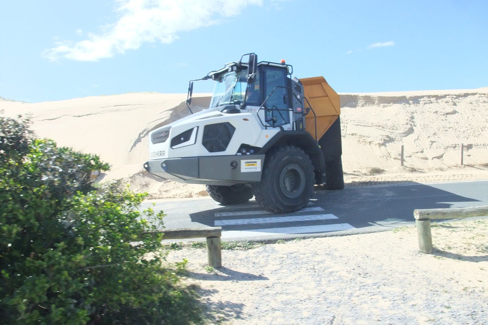 DSCF3774.JPG
