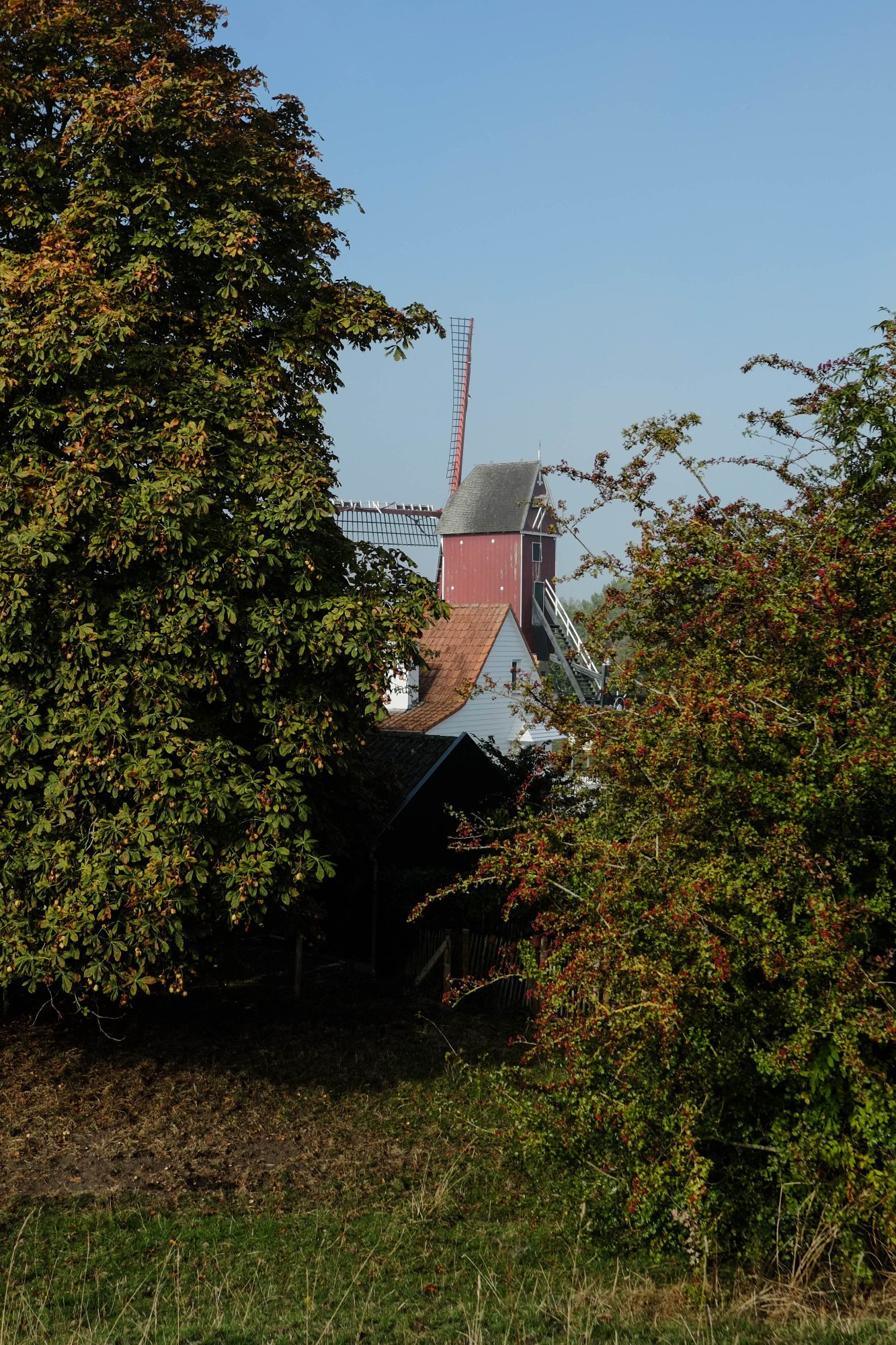 DSCF3778.jpg