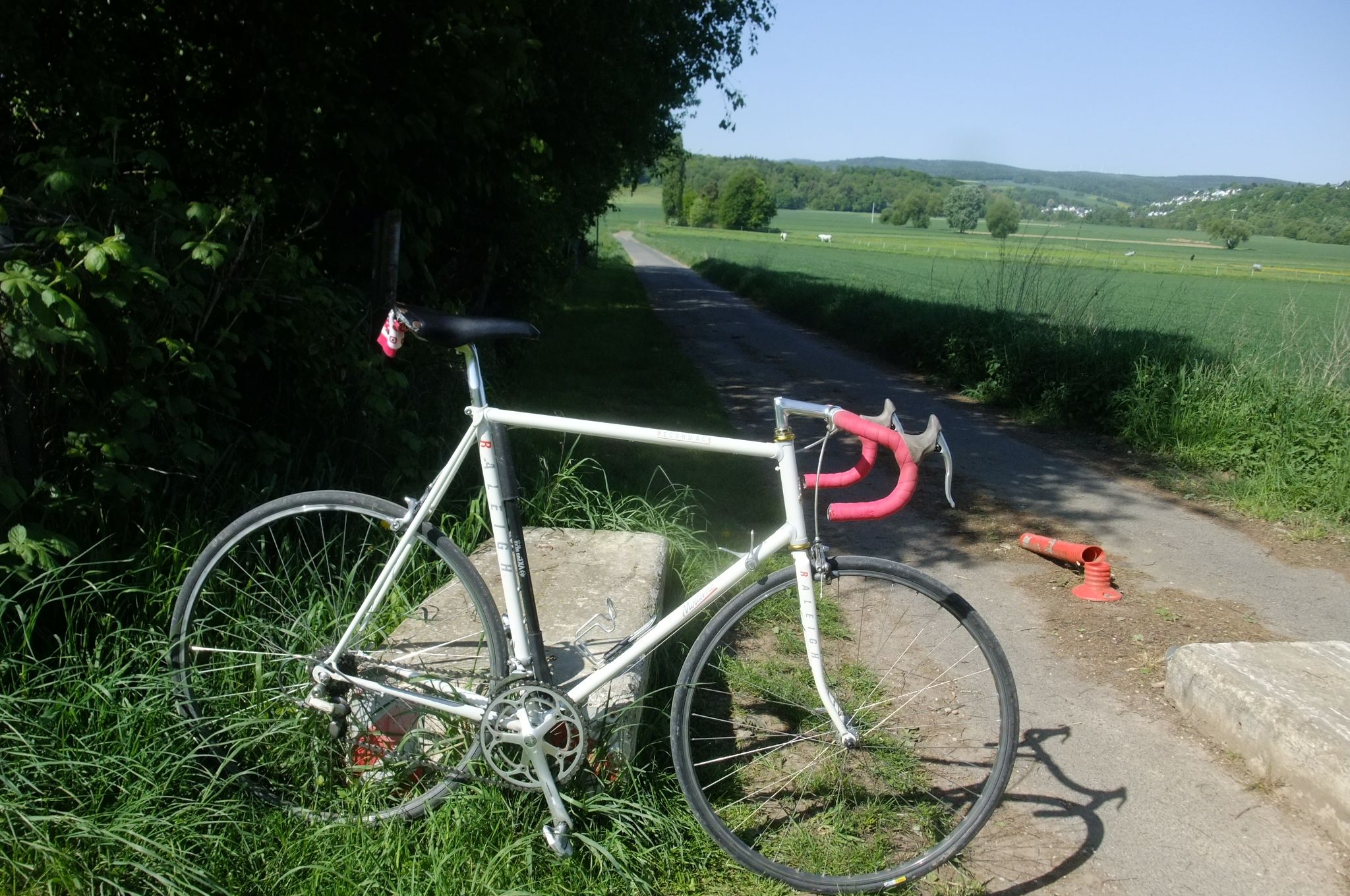 DSCF3779.JPG