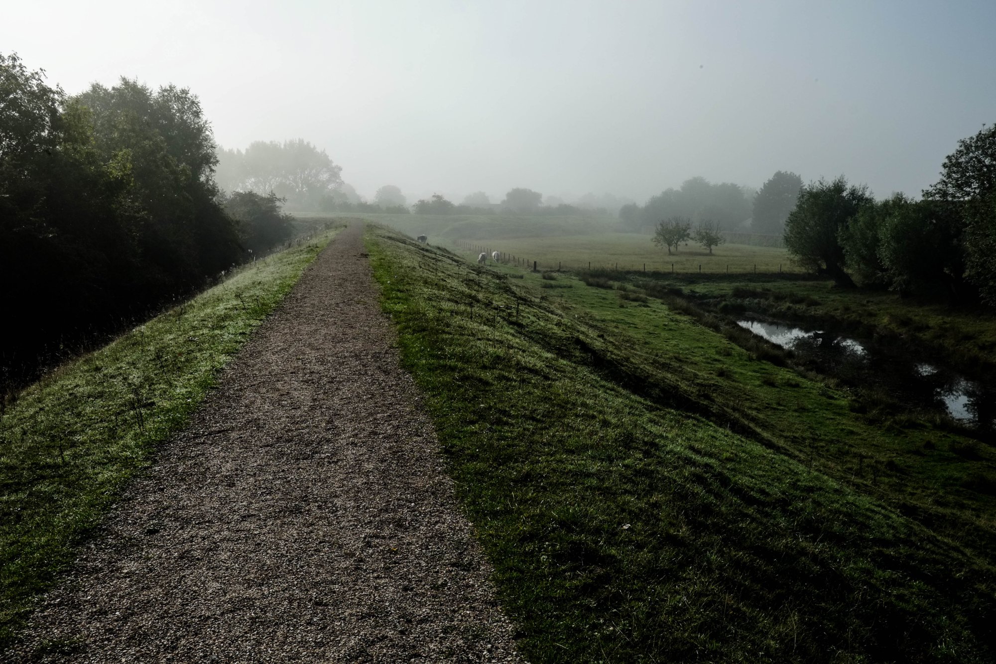 DSCF3780.jpg
