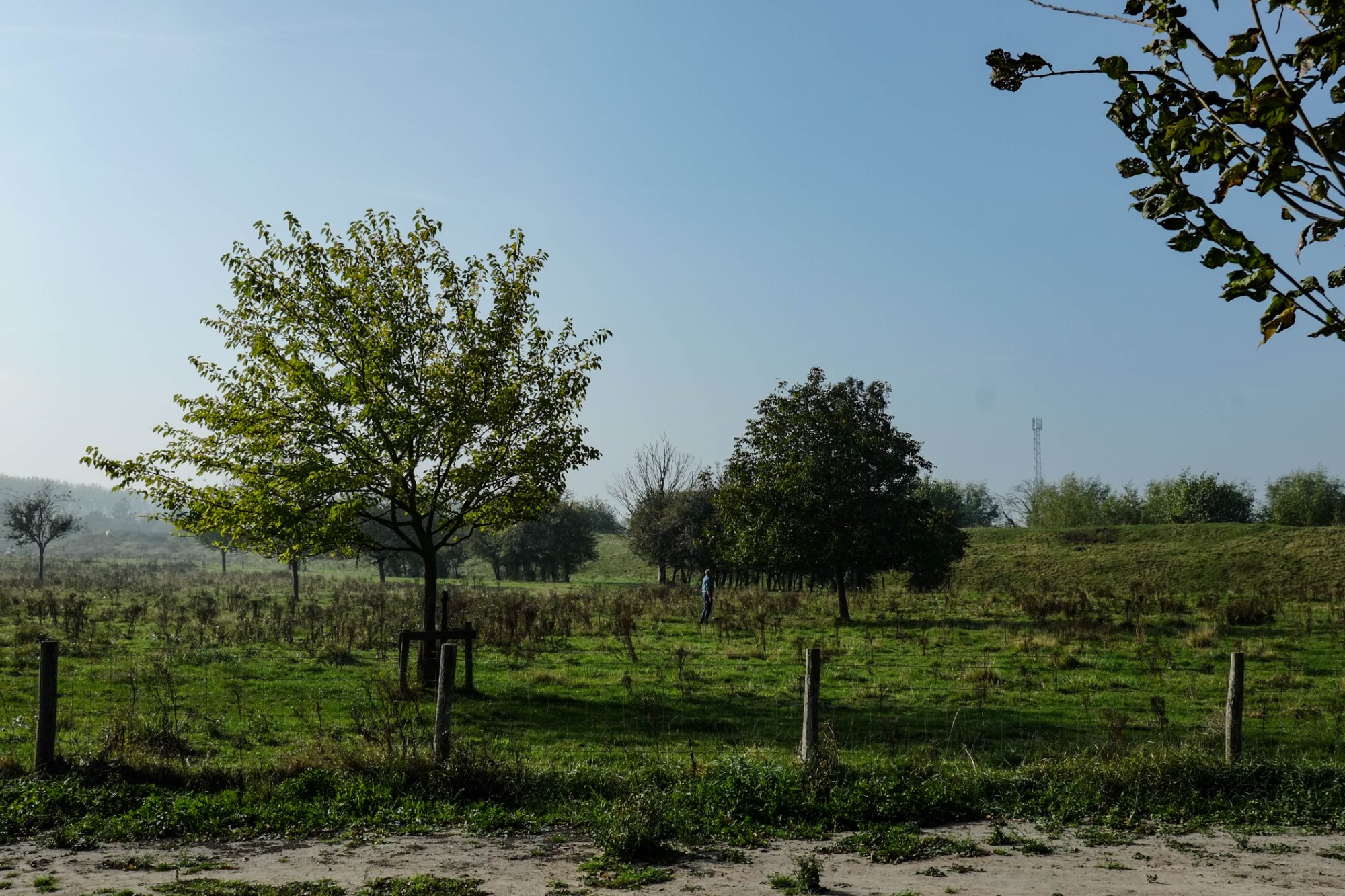 DSCF3798.jpg