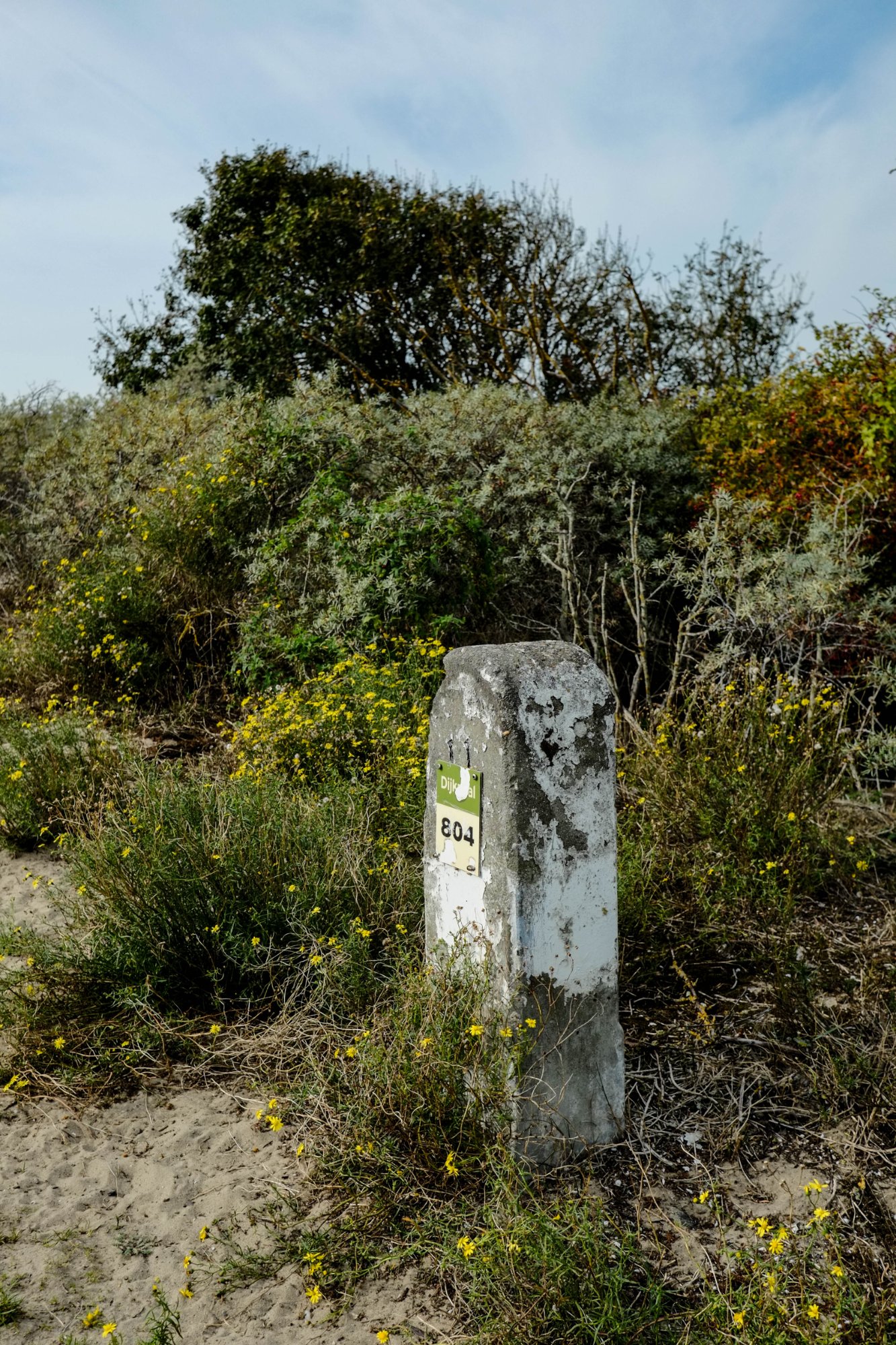DSCF3806.jpg