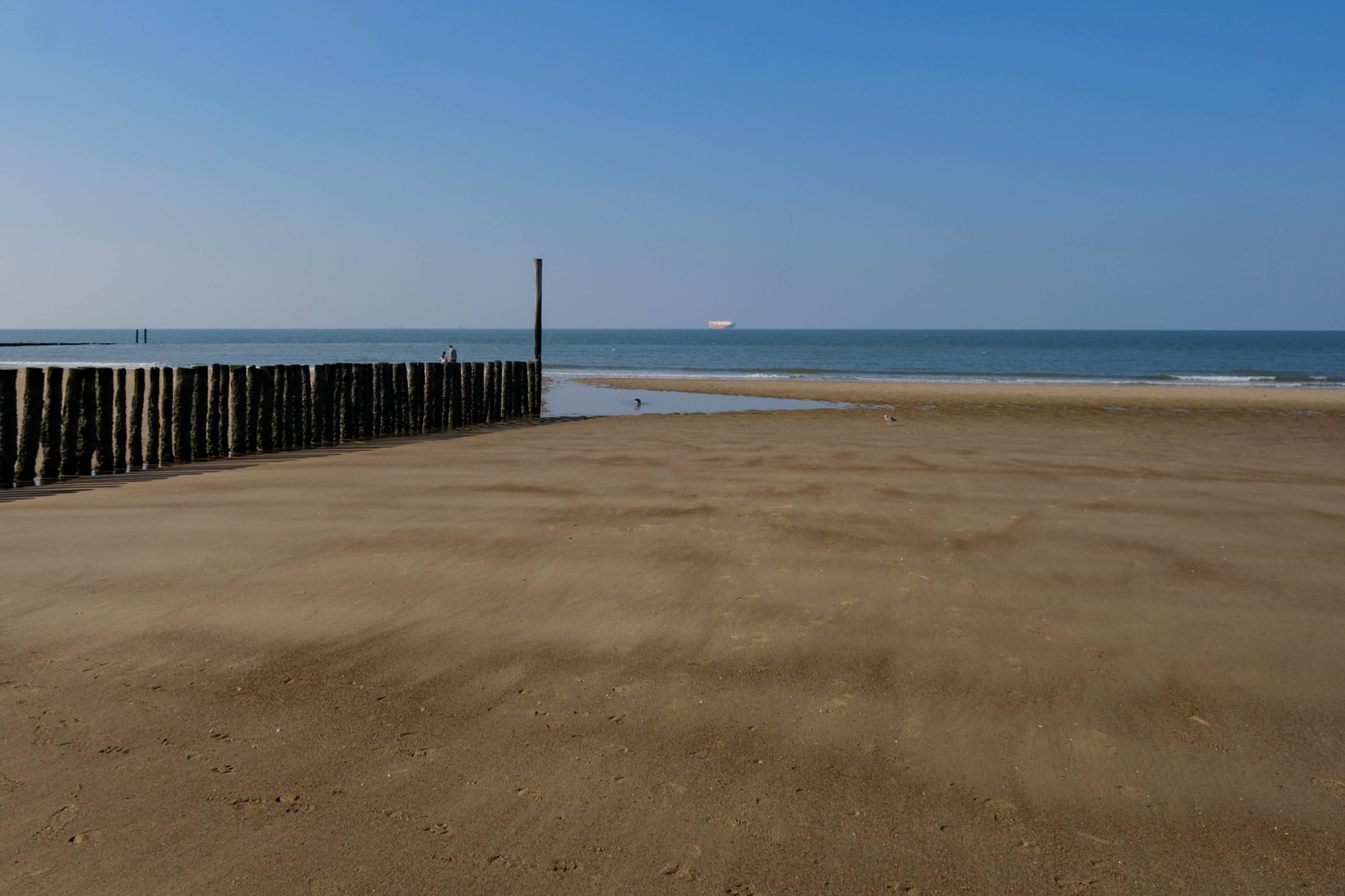 DSCF3811.jpg