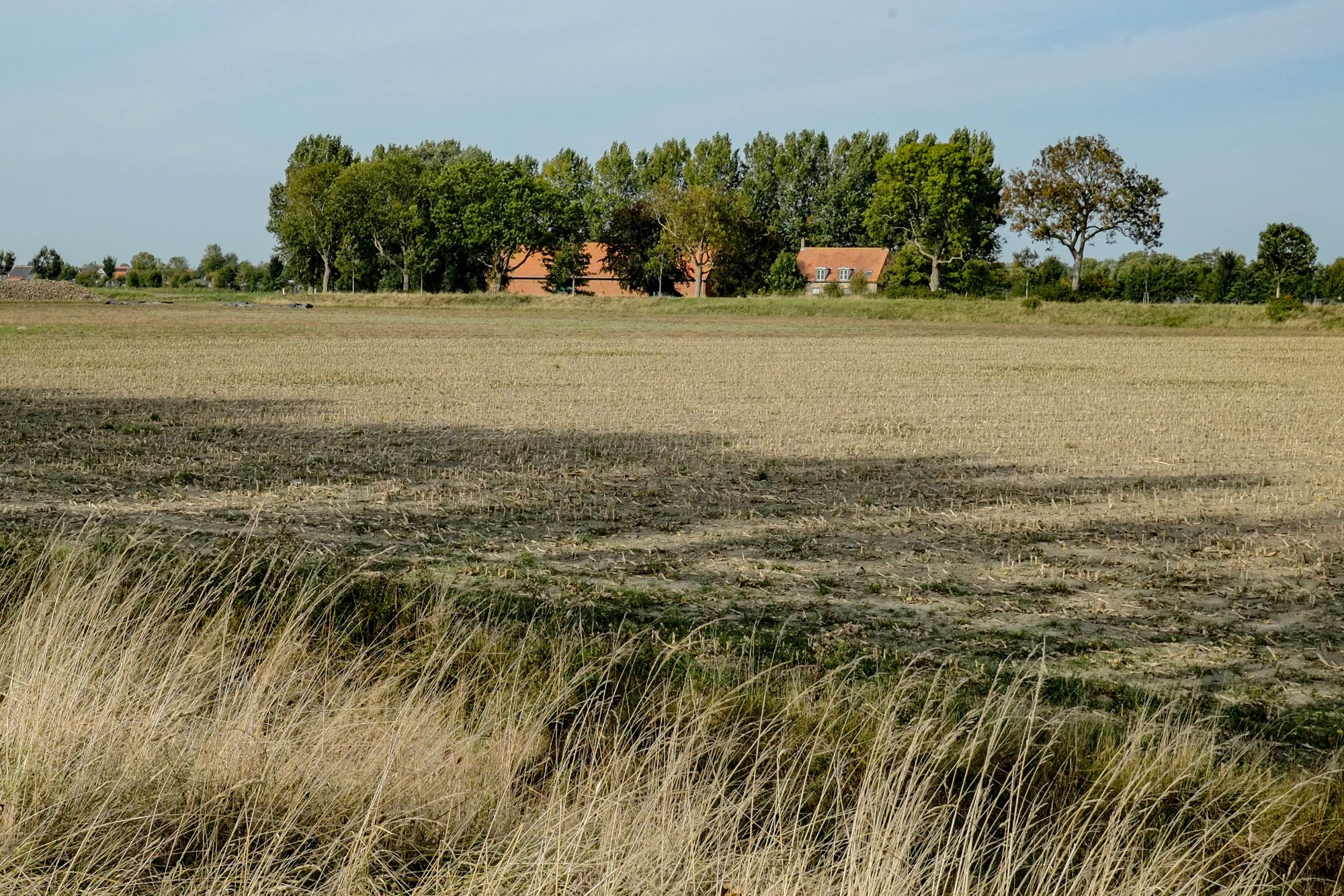 DSCF3818.jpg