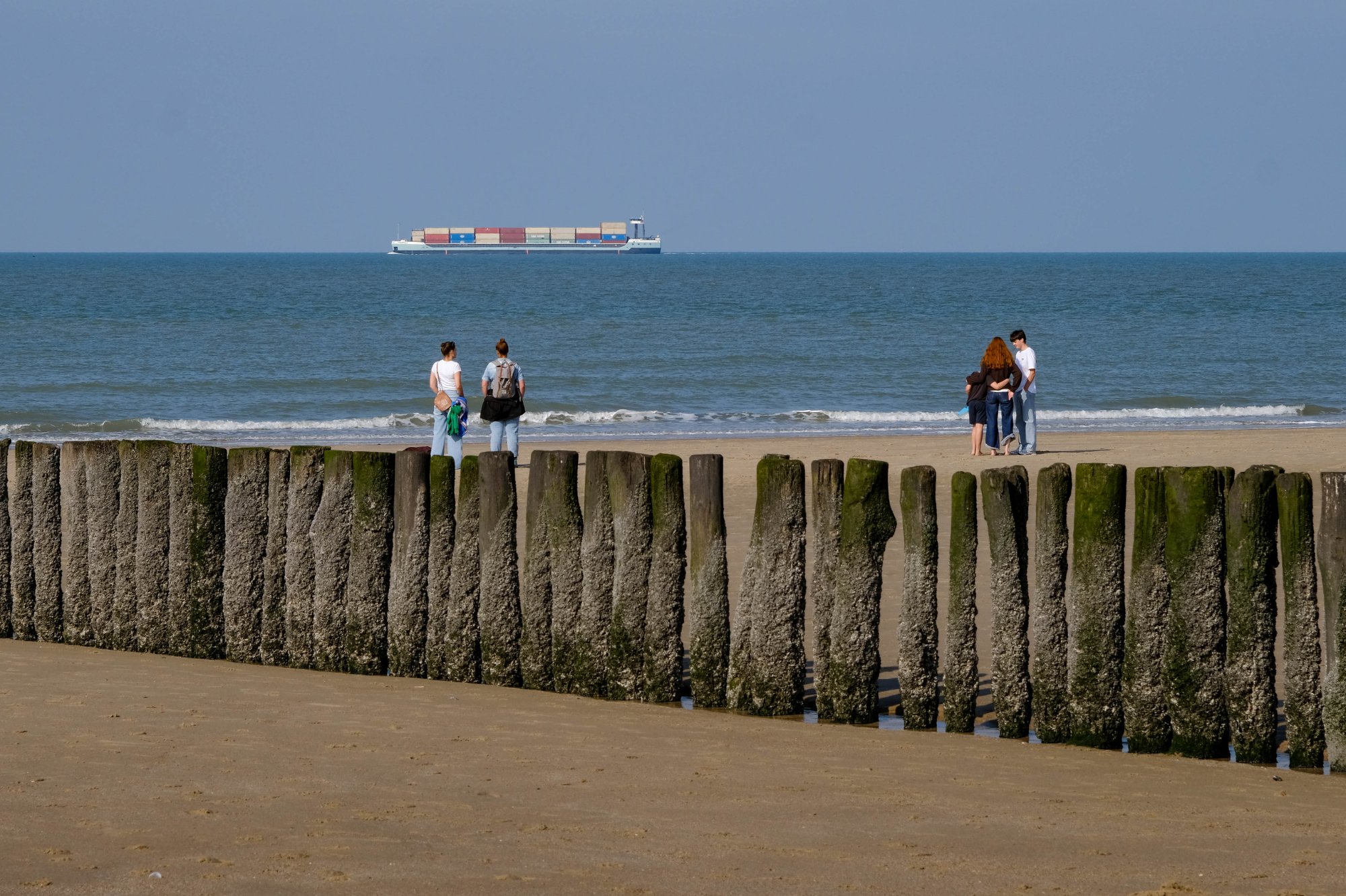 DSCF3820.jpg