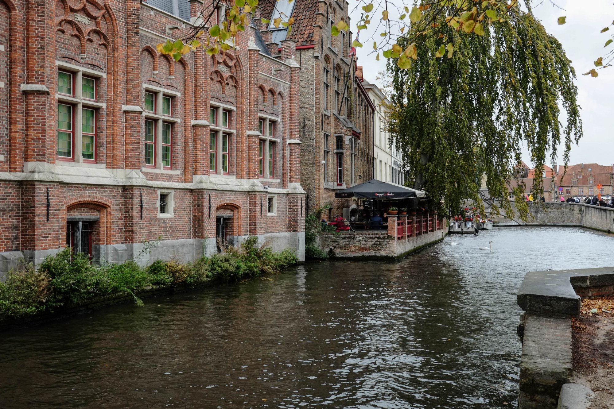 DSCF3825.jpg