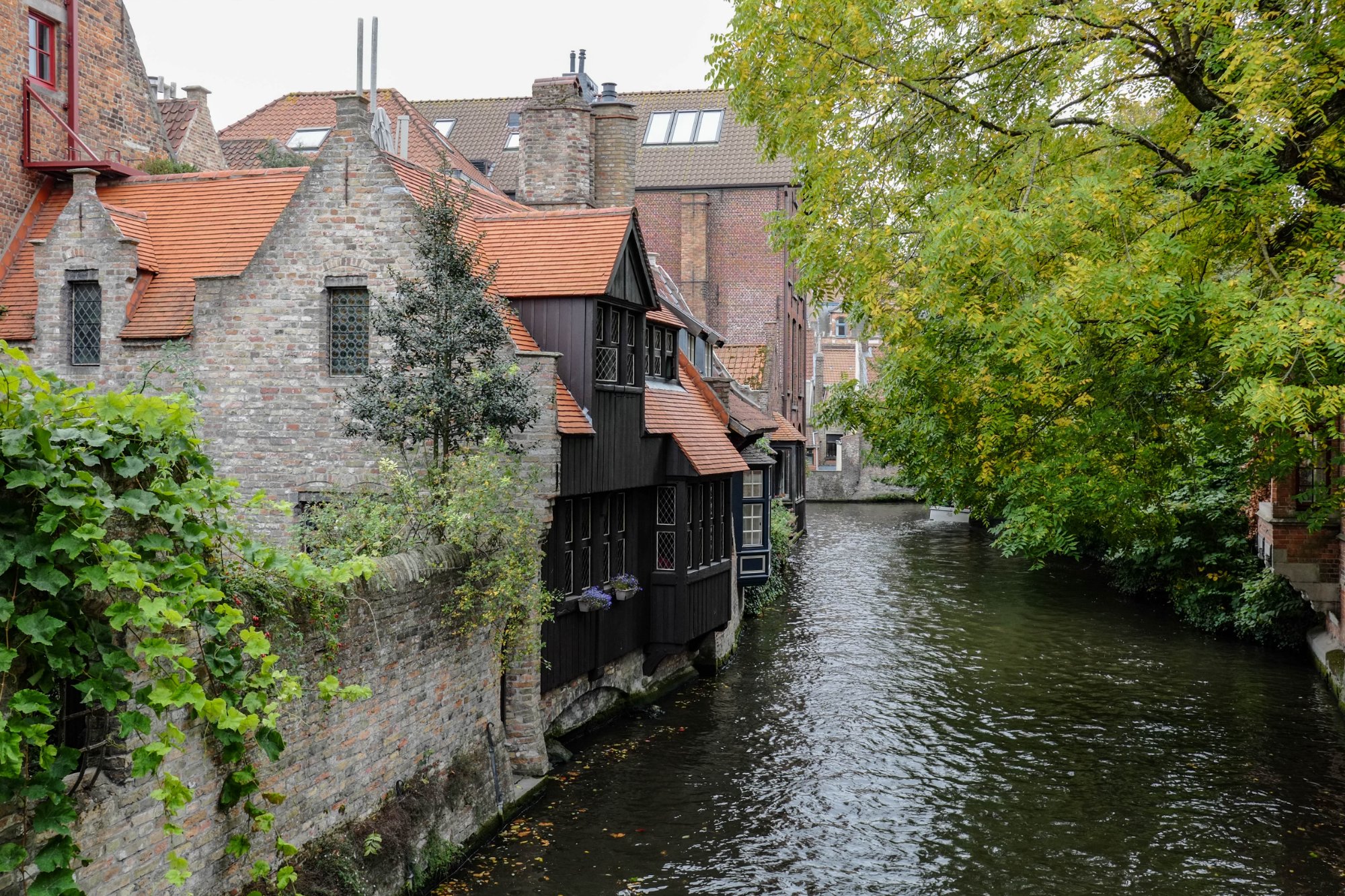 DSCF3829.jpg