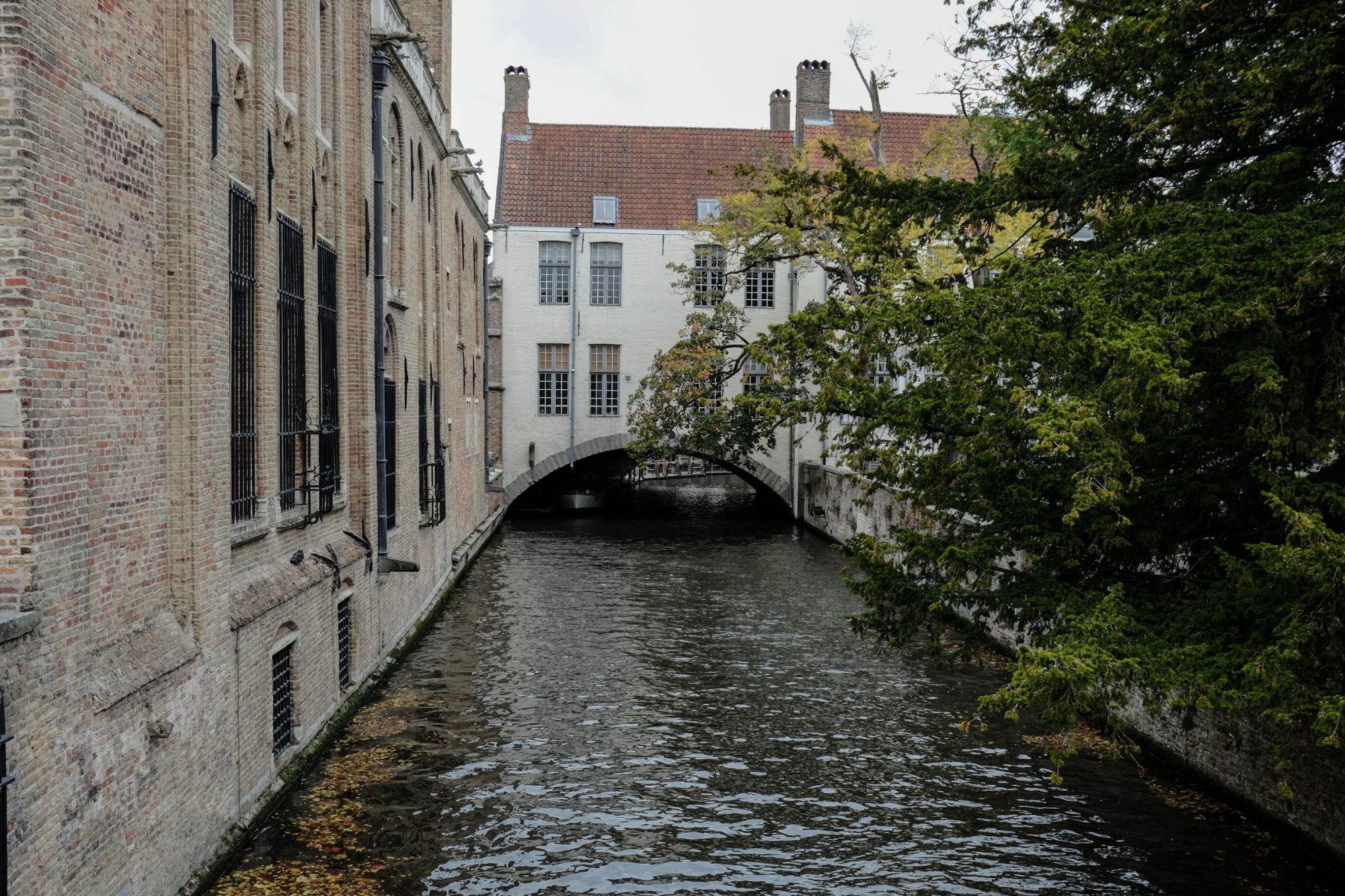 DSCF3830.jpg
