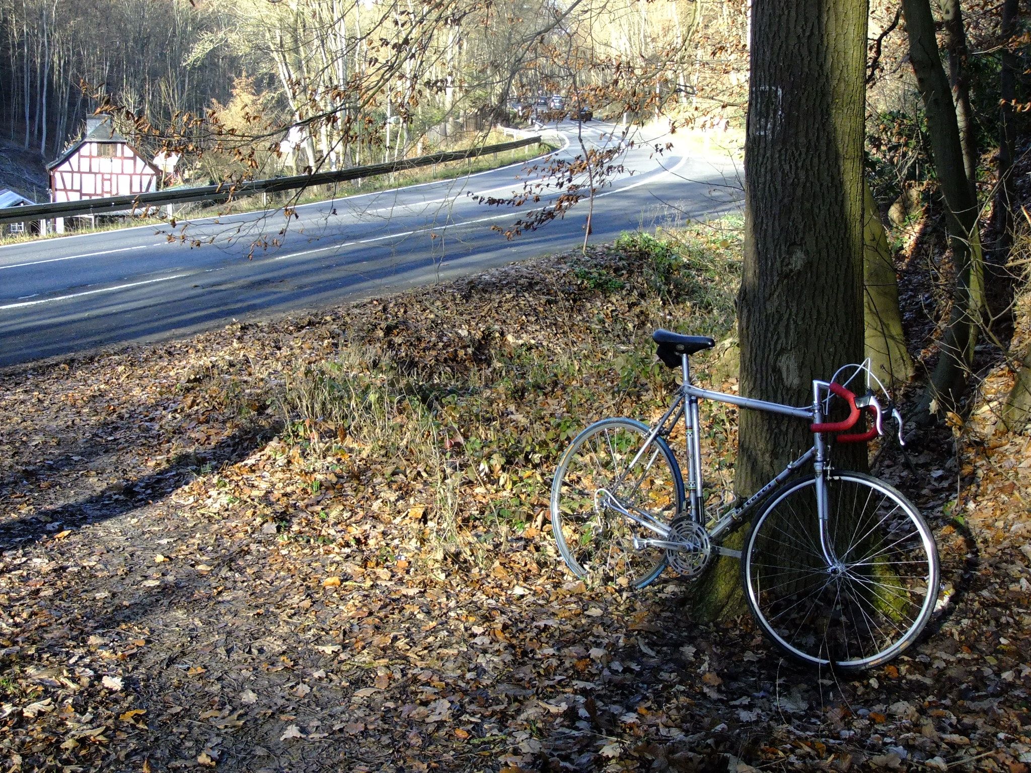 DSCF3838.JPG