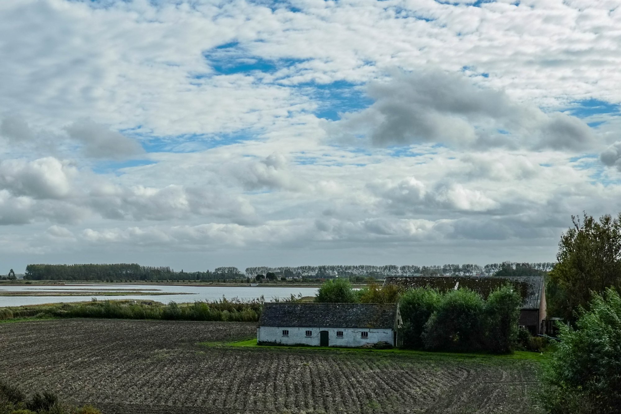 DSCF3867.jpg