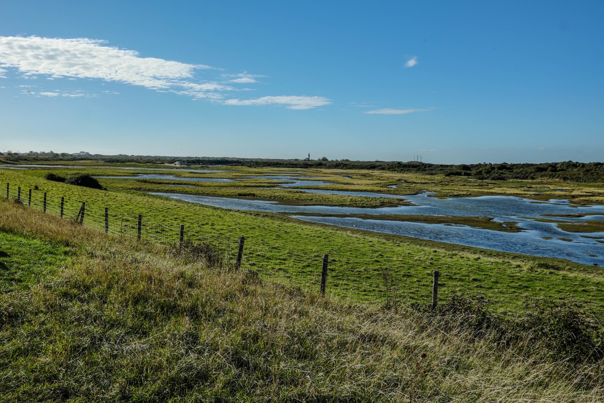 DSCF3914.jpg