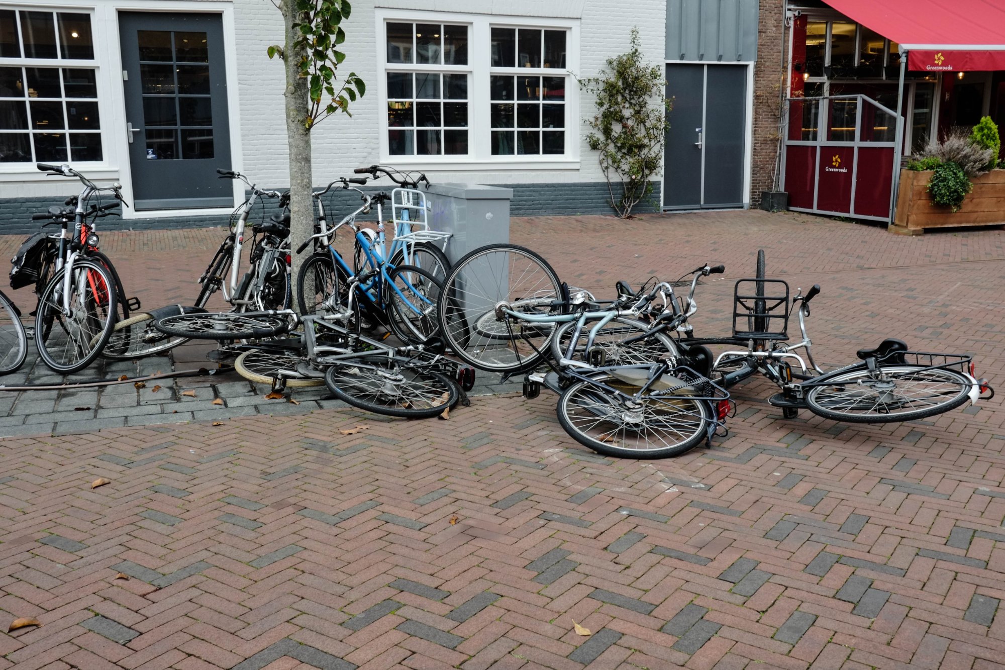 DSCF3924.jpg