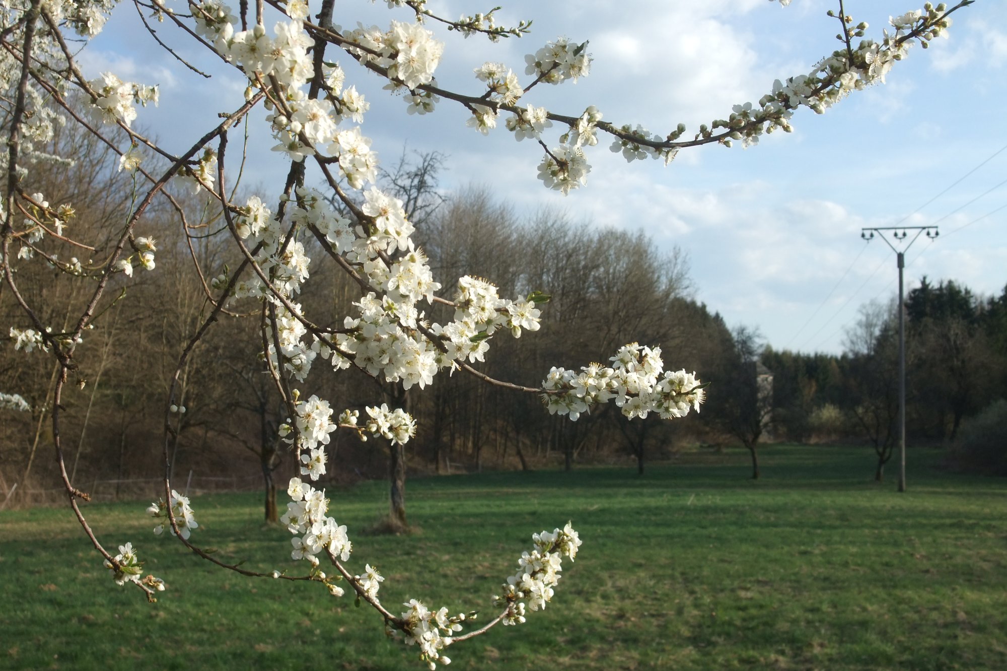 DSCF3931.JPG