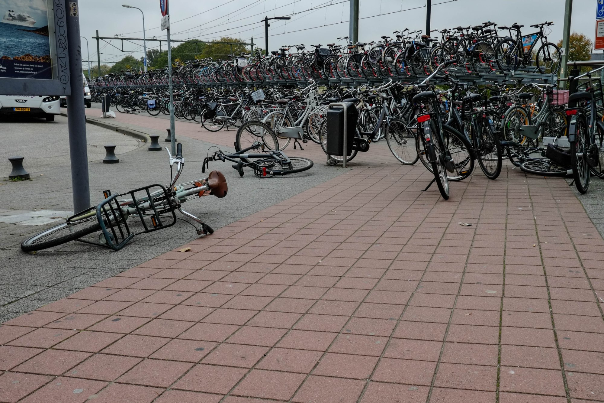 DSCF3936.jpg