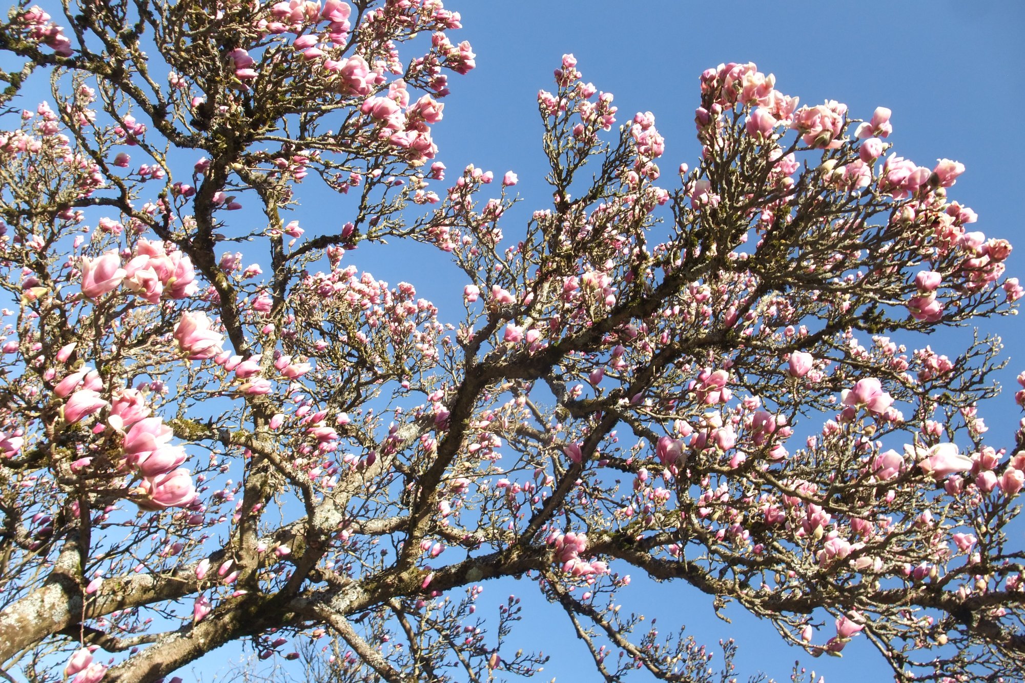 DSCF3954.JPG