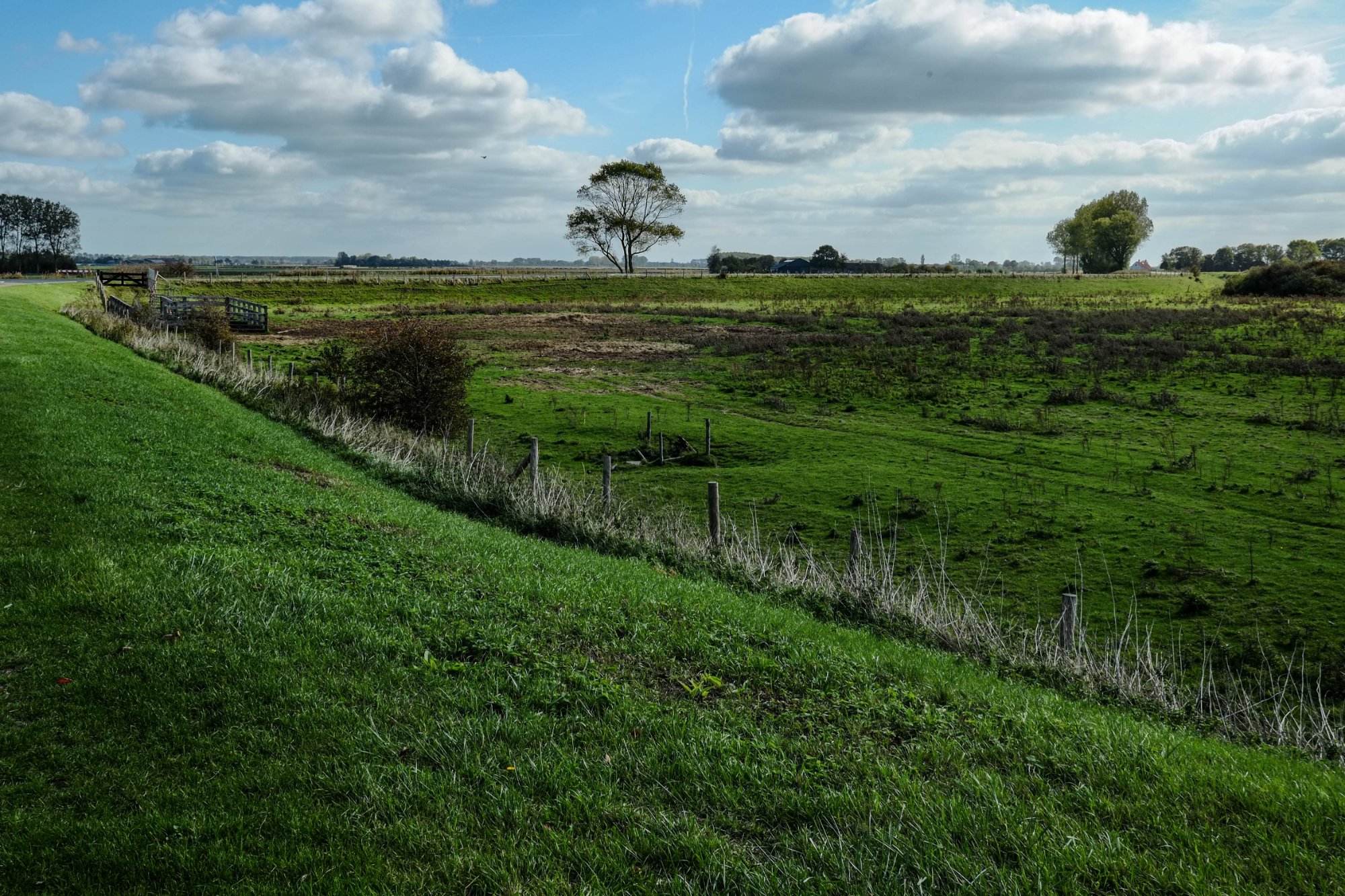 DSCF3964-2.jpg