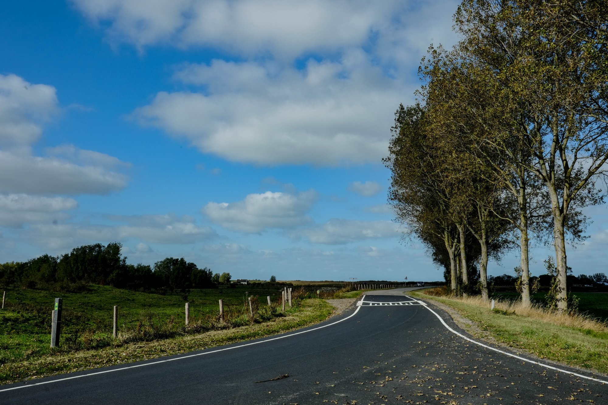 DSCF3965-2.jpg