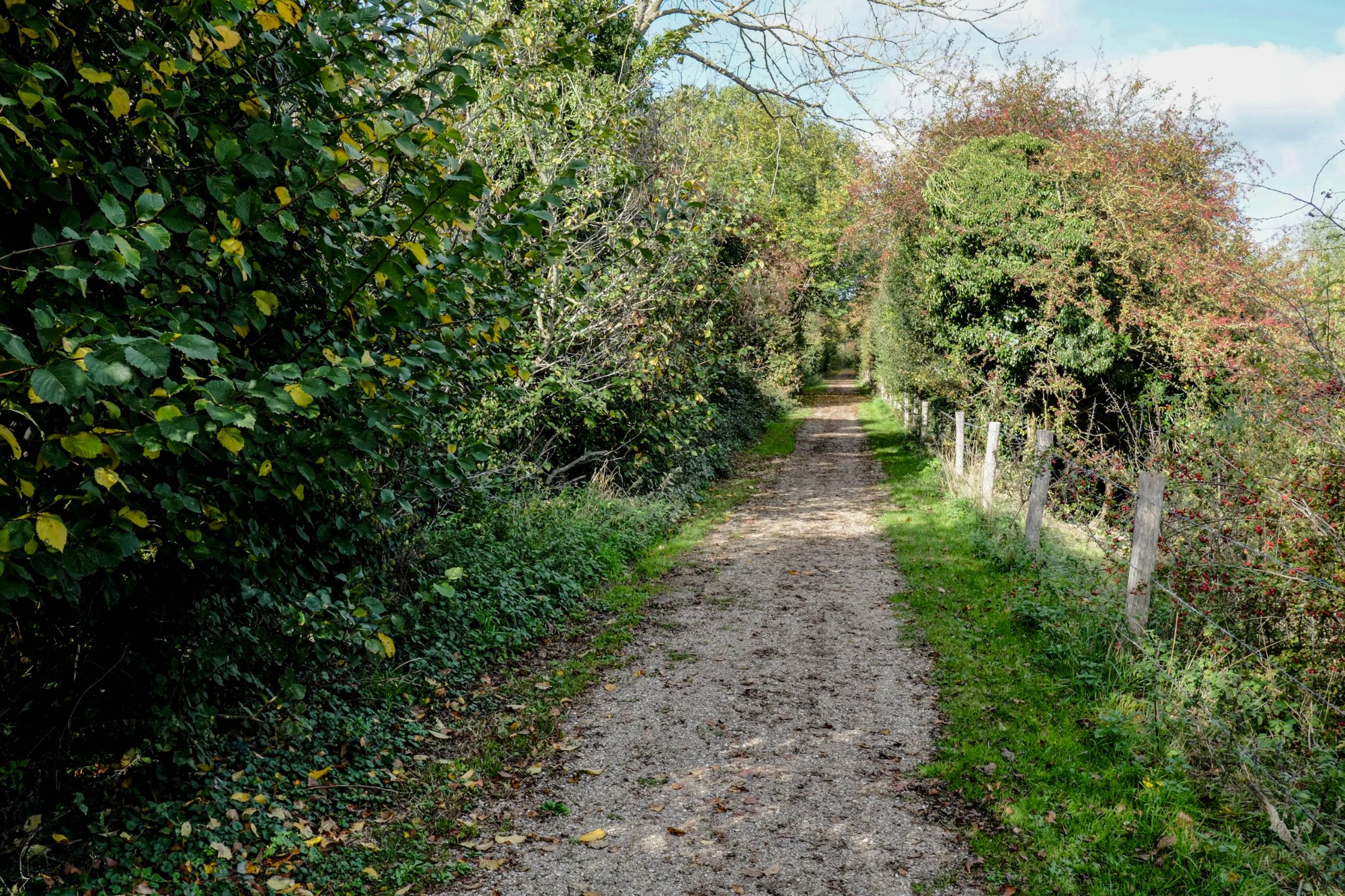 DSCF3967-2.jpg