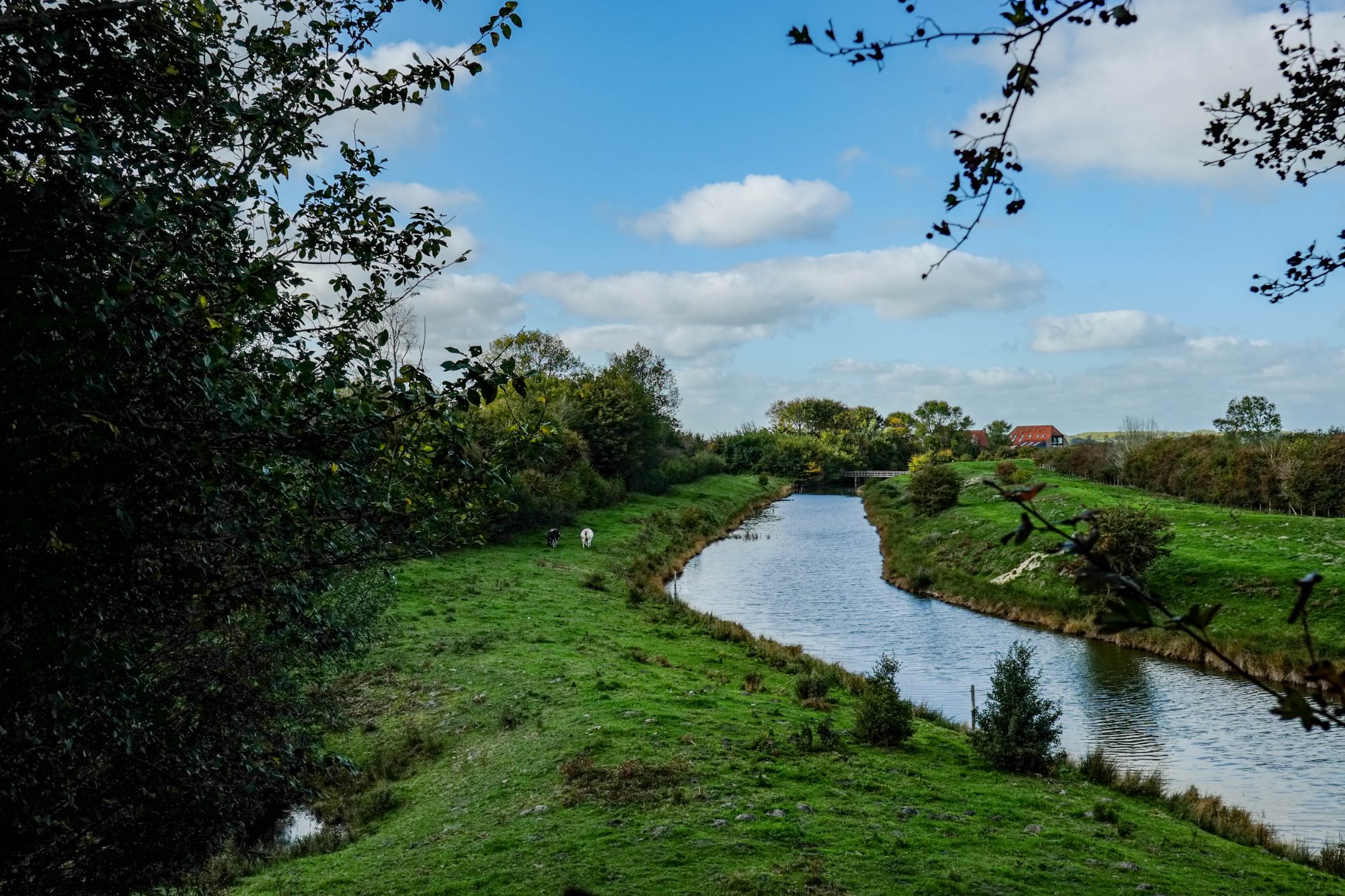 DSCF3970-2.jpg