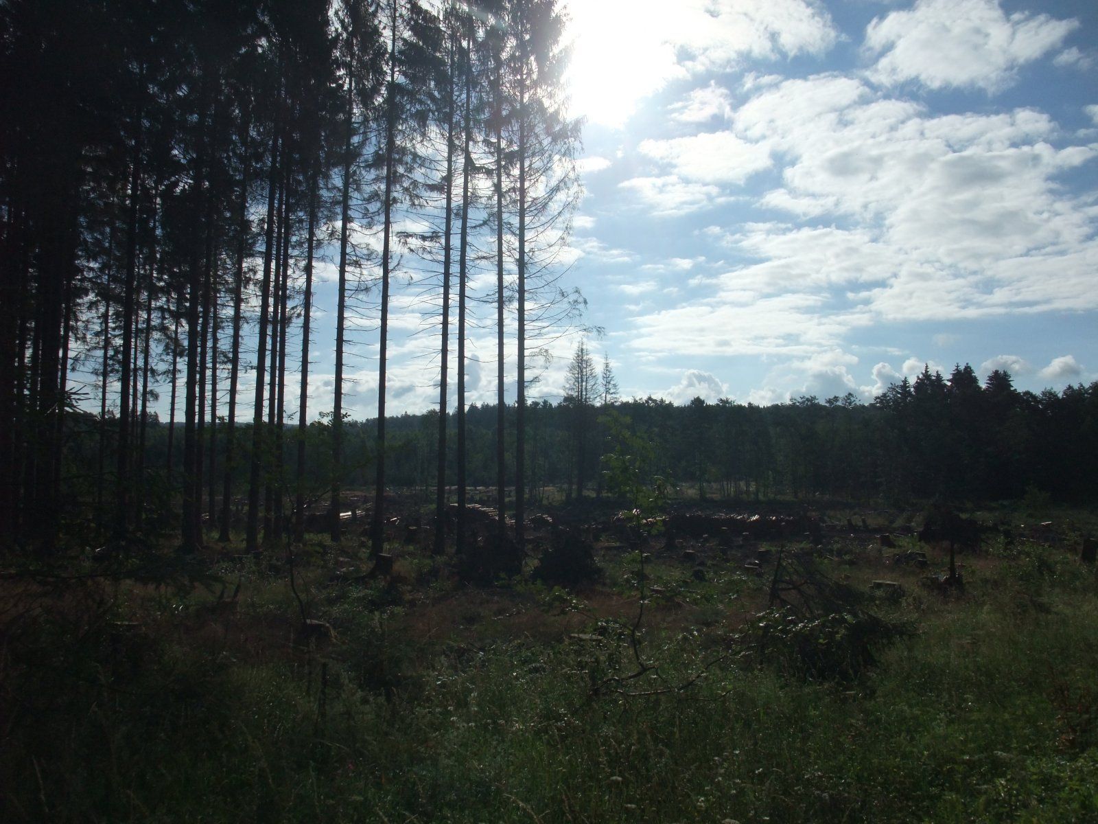 DSCF3973.JPG