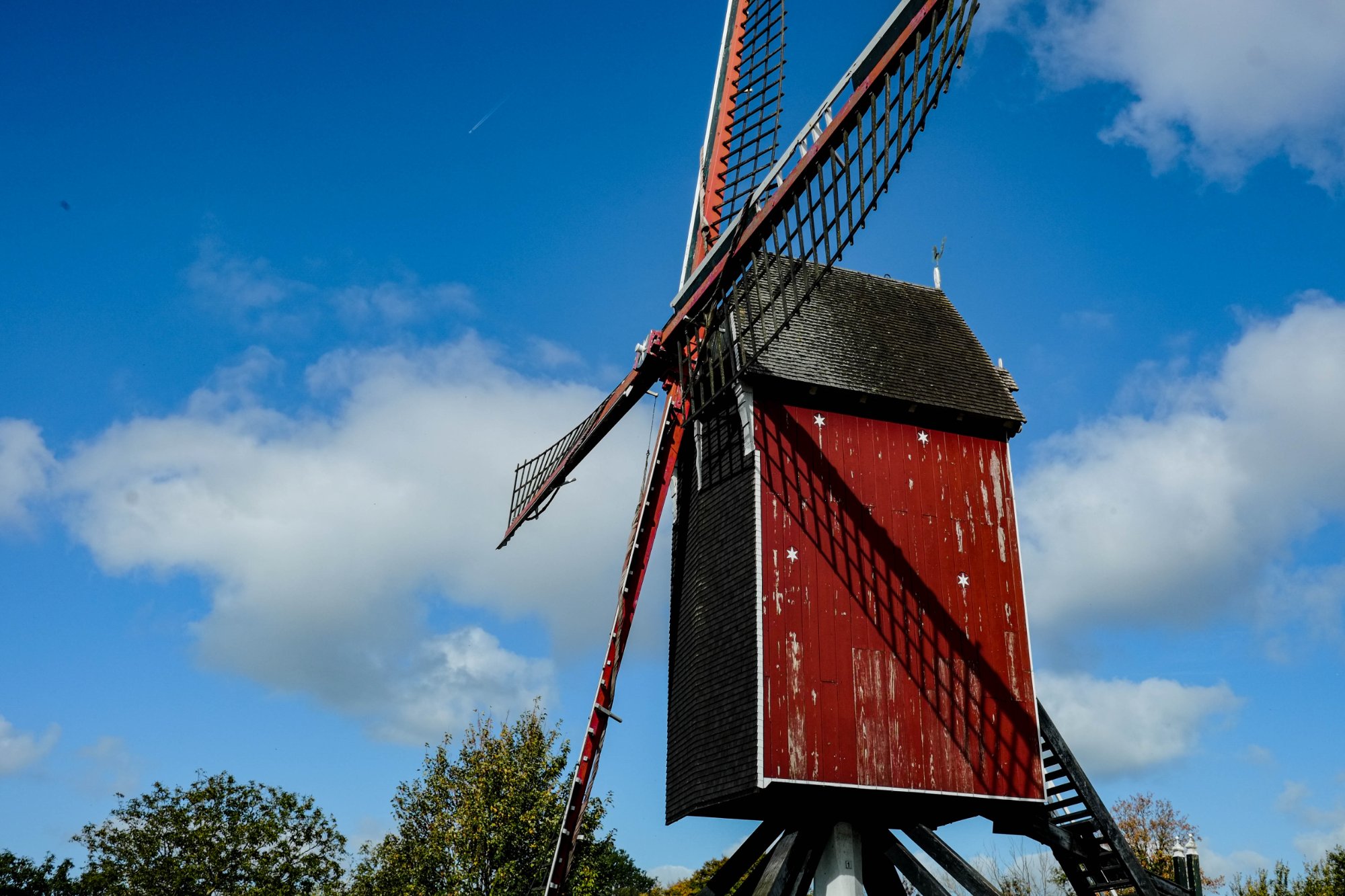 DSCF3978-2.jpg