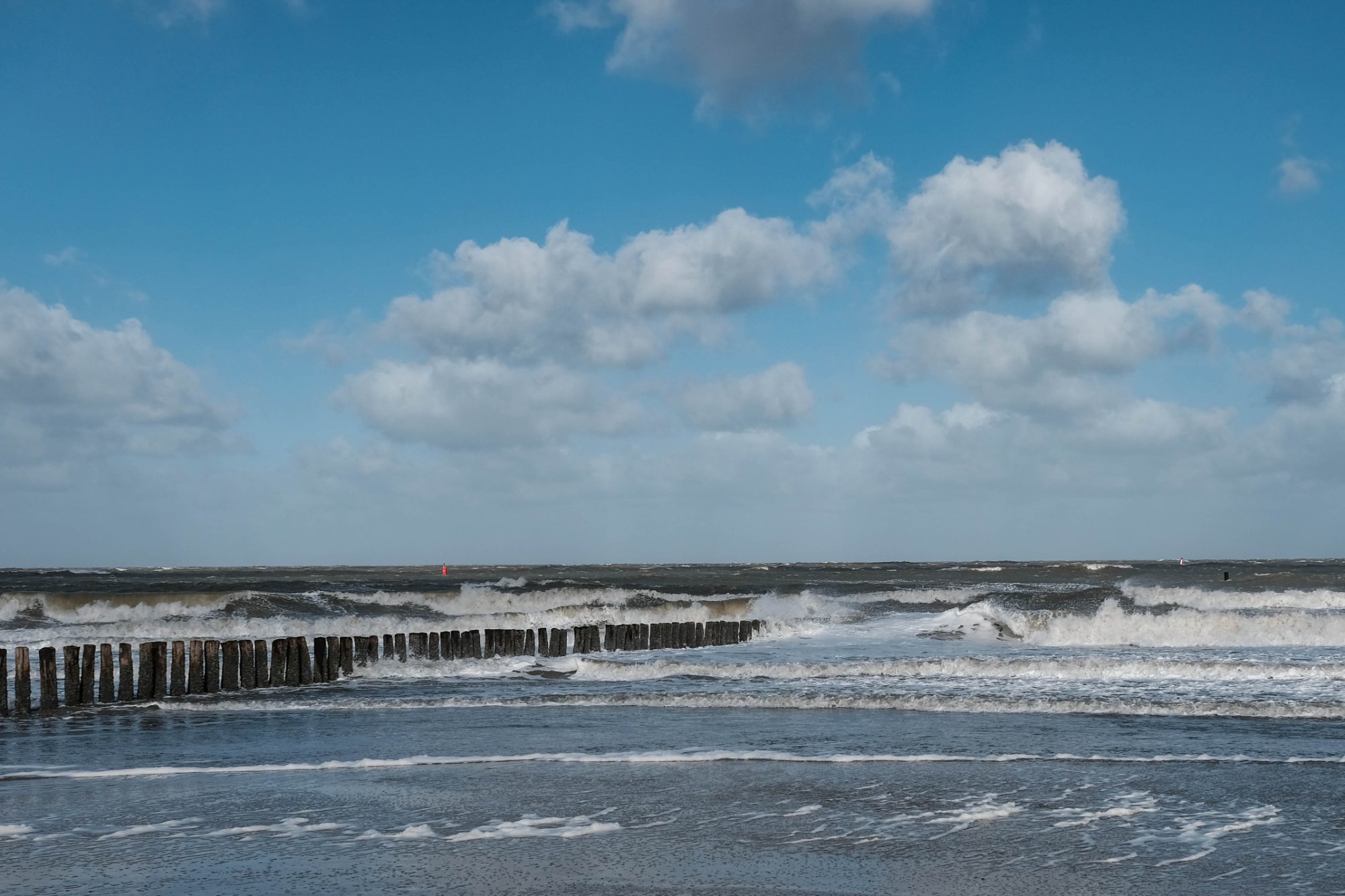 DSCF4106.jpg